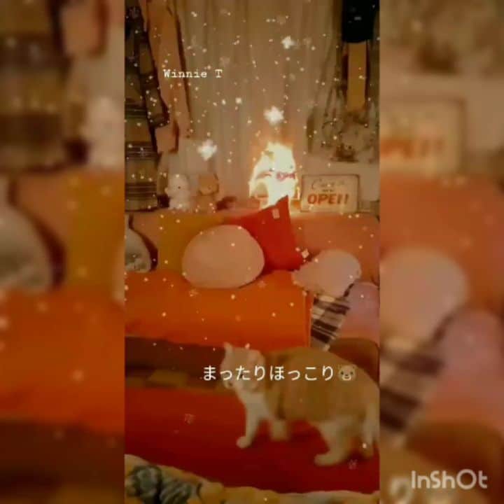 友利愛美のインスタグラム