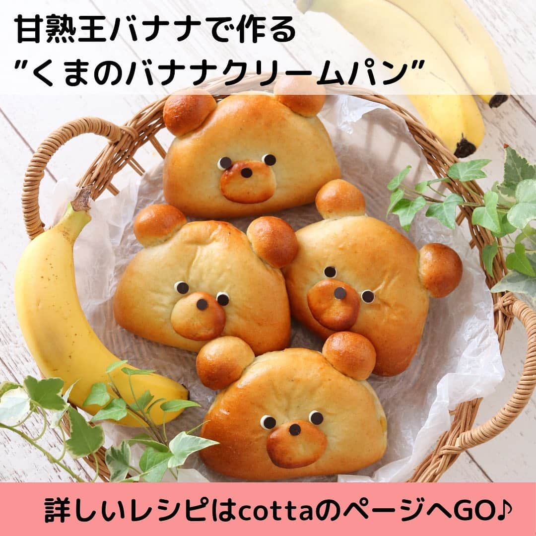 Sumifruのインスタグラム：「とっても甘くてコクのある高地栽培バナナ #甘熟王 を使って美味しいお菓子作りをしてみませんか？  #くまのバナナクリームパン #ラム香るバナナチーズケーキ #バナナティラミス #チョコバナナマフィン  レシピの詳しい情報は、cotta @cotta_corecle サイトの特集ページでチェックしてくださいね✨😋  昼夜の寒暖差の大きい高地で栽培された、元祖高地栽培バナナ「甘熟王」を使えば、砂糖を使わなくても甘くて美味しいお菓子が作れますよ🍌😊  ぜひ、お試しください🌟  #バナナはスミフル  #cotta  #手作りお菓子 #おうちカフェ #バナナケーキ」