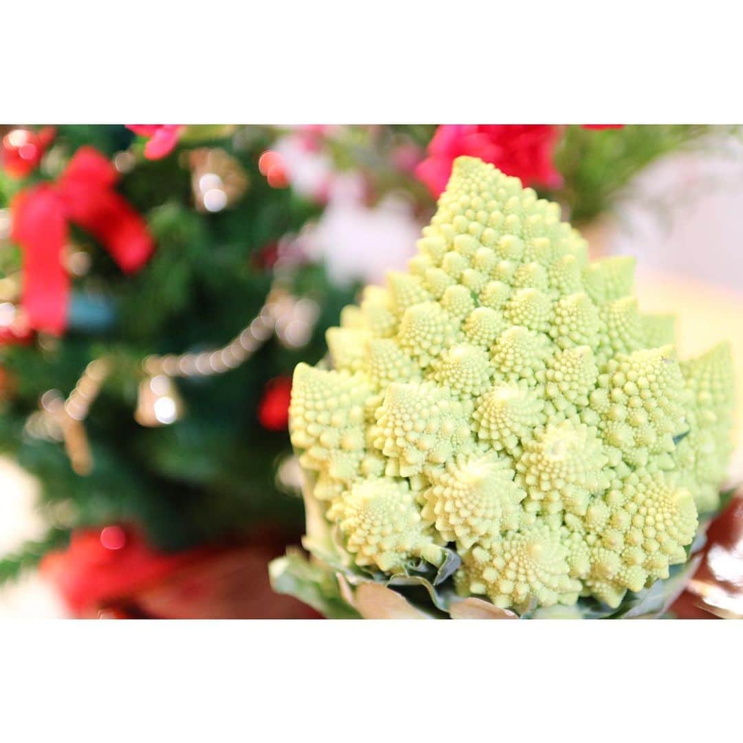 のインスタグラム：「， 大好きなロマネスコ。 この時期はクリスマスツリー感が より一層増しますね🎄 というわけで並べてみましたww ， ロマネスコはカリフラワーの変種で、 ビタミン類を多く含んでいます。特にビタミンCの含有量は野菜の中でもトップクラス。 肌の調子を整え、シミ・そばかすの元となるメラニンの合成を抑える働きが期待できます。 ， 美味しいものの選び方やその他の栄養素については 2015年のブログで紹介しています。 https://ameblo.jp/nobuyoshimizu/entry-12025642240.html?frm_id=v.jpameblo&device_id=0bc6a6135c7d4b4492cf3f953a3b679e ， #ロマネスコ  #クリスマスツリー #野菜ソムリエ #メンタルフードマイスター #暮らしにユーモアを  #生活にユーモアを  #暮らしに彩りを  #野菜 #野菜好き」