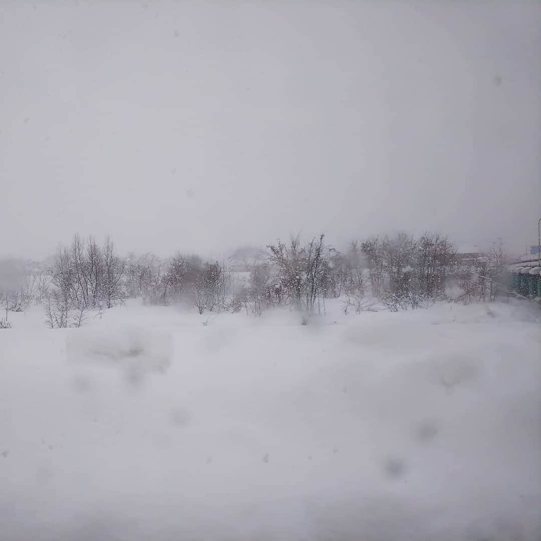みながわゆみさんのインスタグラム写真 - (みながわゆみInstagram)「#いまそら #イマソラ #雪 #雪景色 #米沢市 #雪が積もりました #雪に負けずに頑張るよ」12月20日 10時15分 - nama.09.19