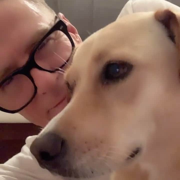 ブライアン・アダムスのインスタグラム：「Hanging out with Peaches #peachesthepotcake #ilovemydog」