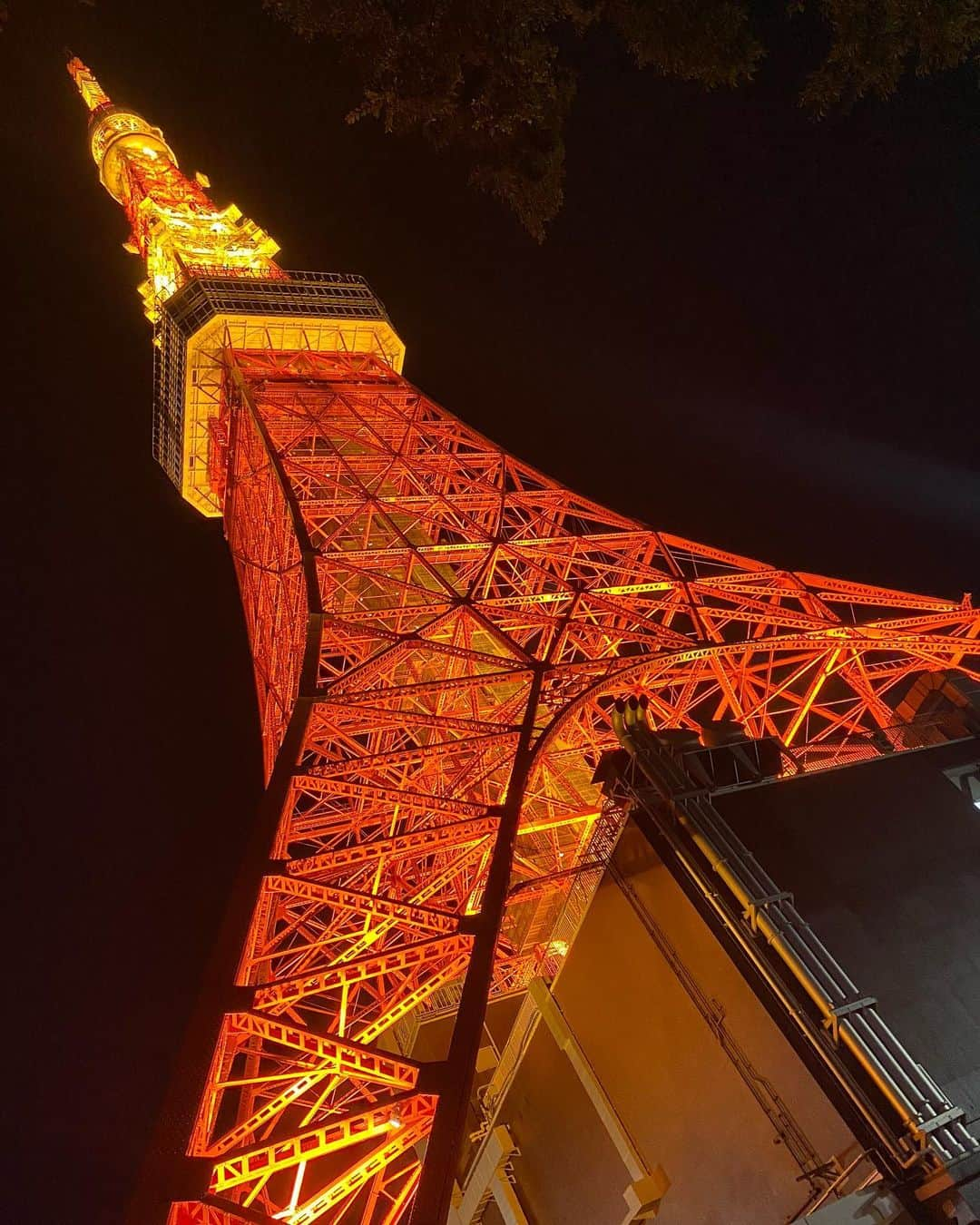 稲垣姫菜のインスタグラム：「東京タワー🗼🧡 ・ ・ ・ #東京タワー #tokyotower#六本木」