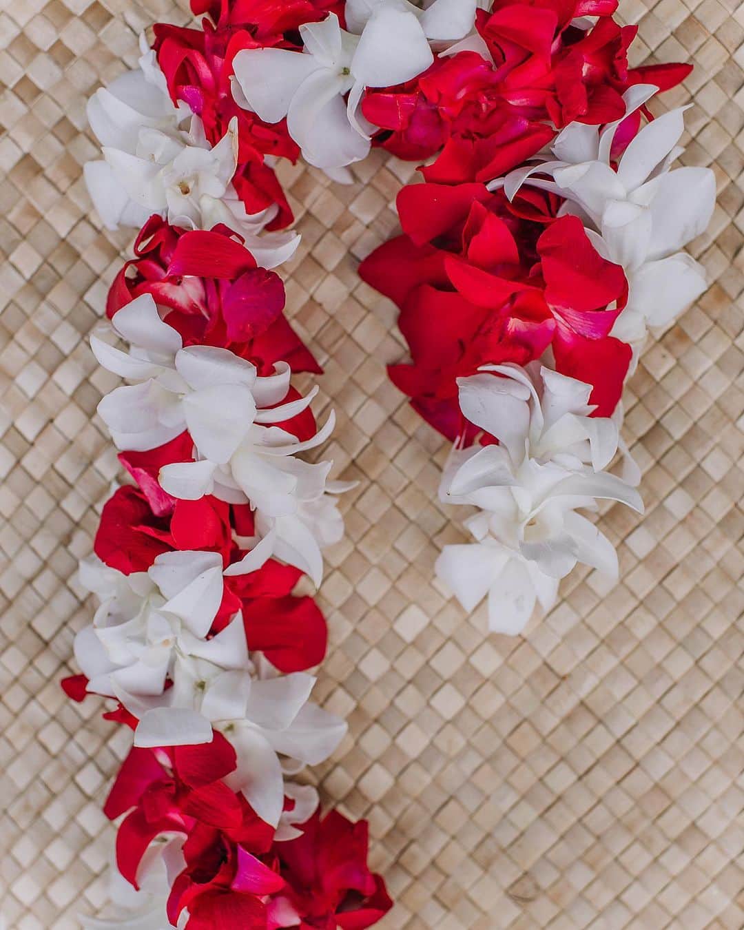 Lanikai Bath and Bodyさんのインスタグラム写真 - (Lanikai Bath and BodyInstagram)「The Hawaiian Candy Cane.  #stockingstuffer #sanitizer #holiday #coconut #chocolate #holidayspice #pine #essentialoils #natural #hawaii #melekalikimaka #candycane #peppermint #mocha #candycane #skincare #sanitize #christmas #organic #winter」12月20日 11時05分 - lanikaibathandbody