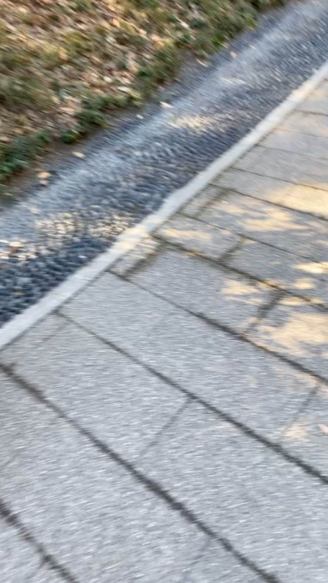 大島央照のインスタグラム