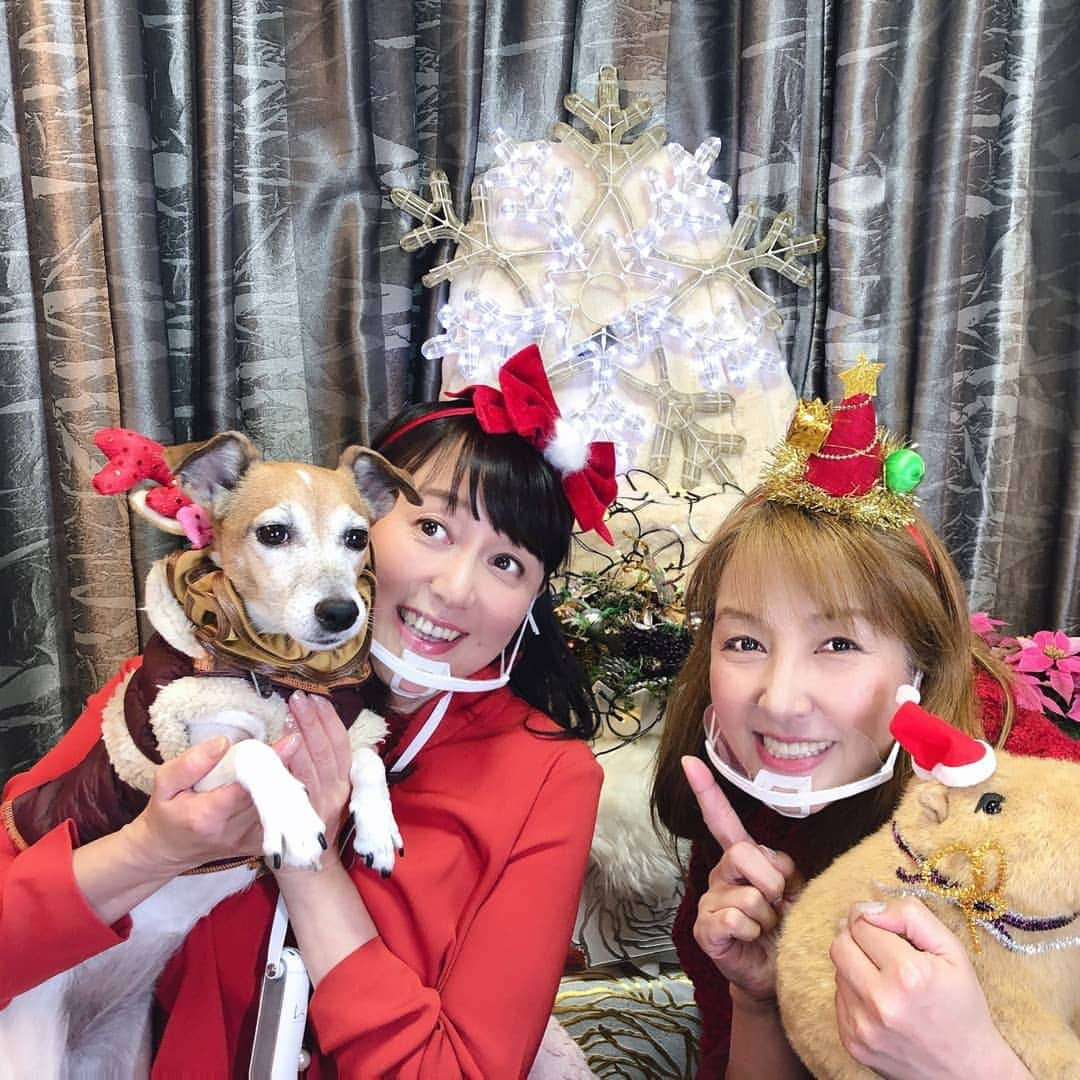 愛華みれさんのインスタグラム写真 - (愛華みれInstagram)「ここるもトナカイ✴️笑っ✨🎄✨」12月20日 11時27分 - mireaika