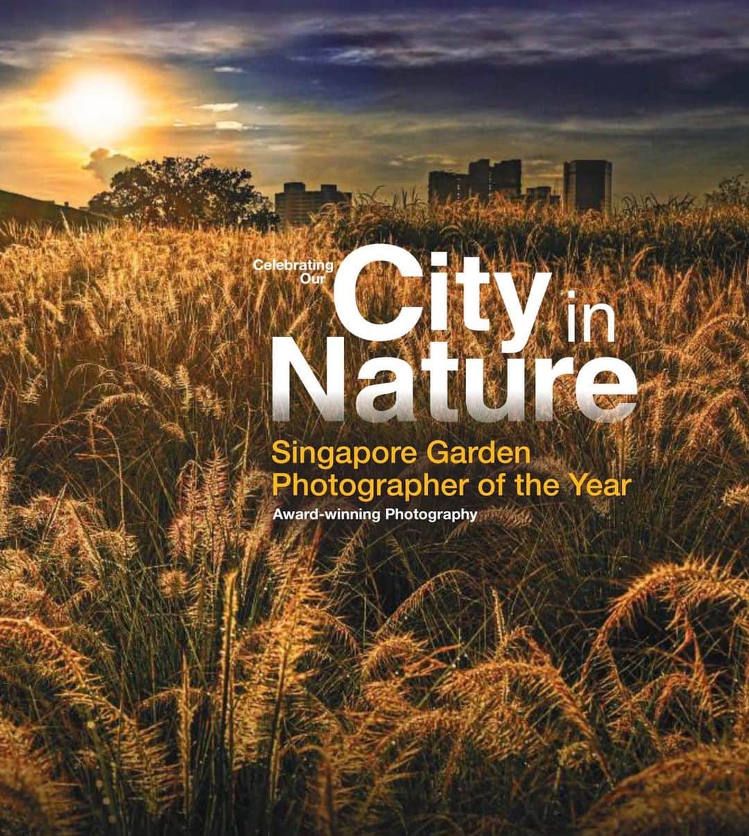 リー・シェンロンのインスタグラム：「Congratulations to @nparksbuzz on their latest photobook, Celebrating Our City in Nature: Singapore Garden Photographer of the Year! I hope this book will inspire you to take the time to discover and enjoy the lush greenery and rich biodiversity around us, and help to preserve it for future generations.  You can buy the book at the Gardens Shops in the Botanic Gardens or from their online shop. – LHL」