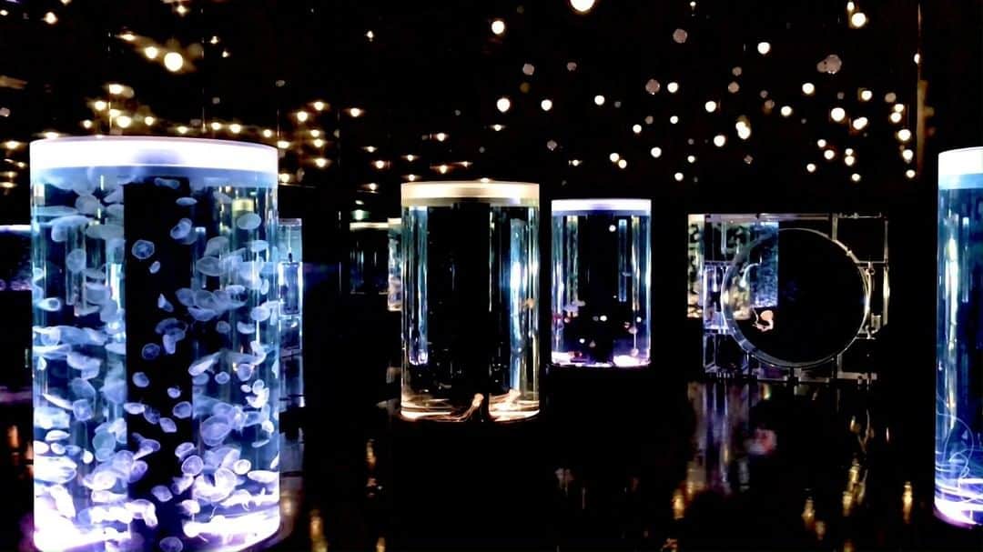 アクアパーク品川のインスタグラム