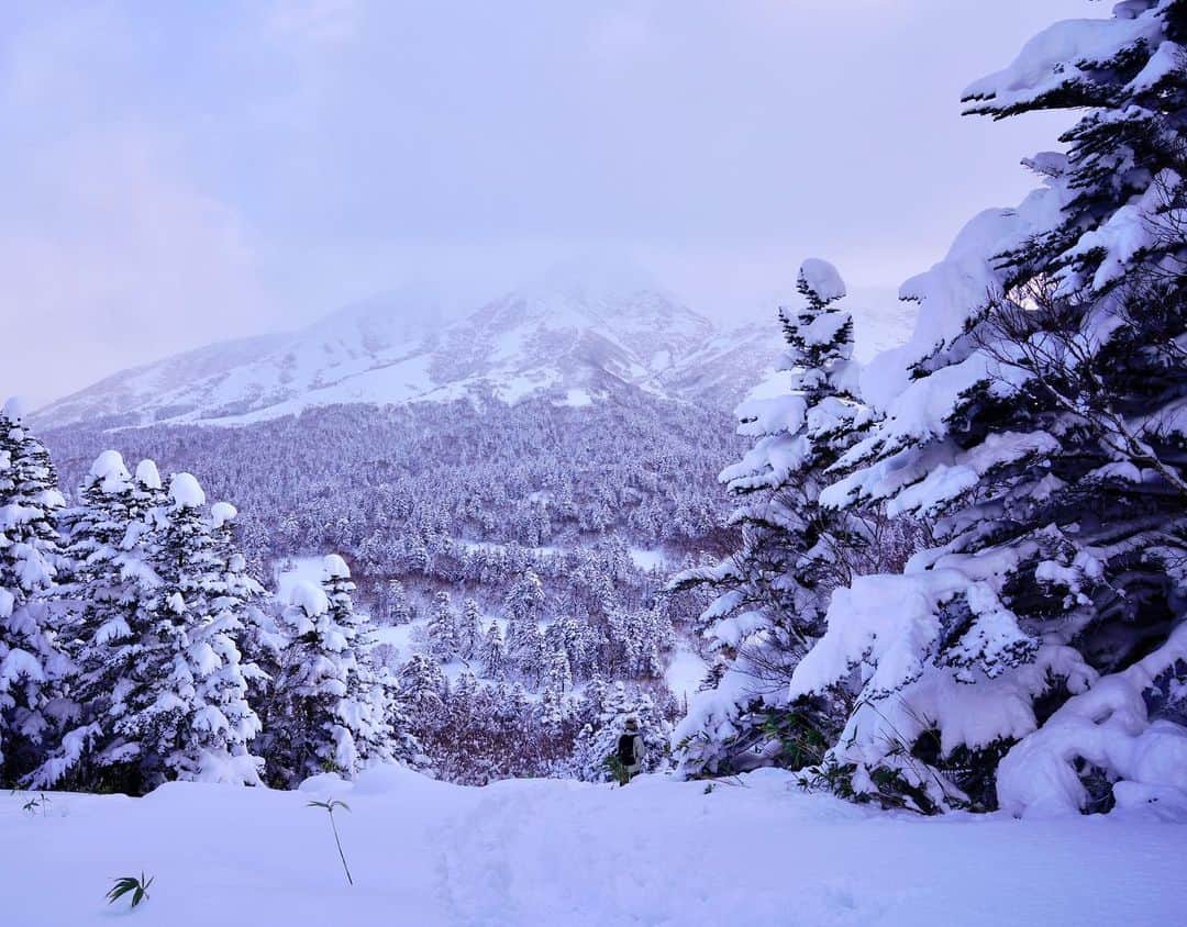 小林希さんのインスタグラム写真 - (小林希Instagram)「北海道の利尻島。 昨年ですが、ポン山をバックカントリーしました。 海の向こうはロシアですよ。 日本の果て！ ポン山からのぞむ利尻富士も美しい。 今年は厳冬になりそうですし、 もうそろそろこんな景色かな？と思い 載せてみました。  来年は夏にウニ祭り行けますように🙏  #利尻富士 #ポン山 #バックカントリー #rishiri #hokkaido #利尻島 #北海道 #また行きたい島」12月20日 12時30分 - nozokoneko