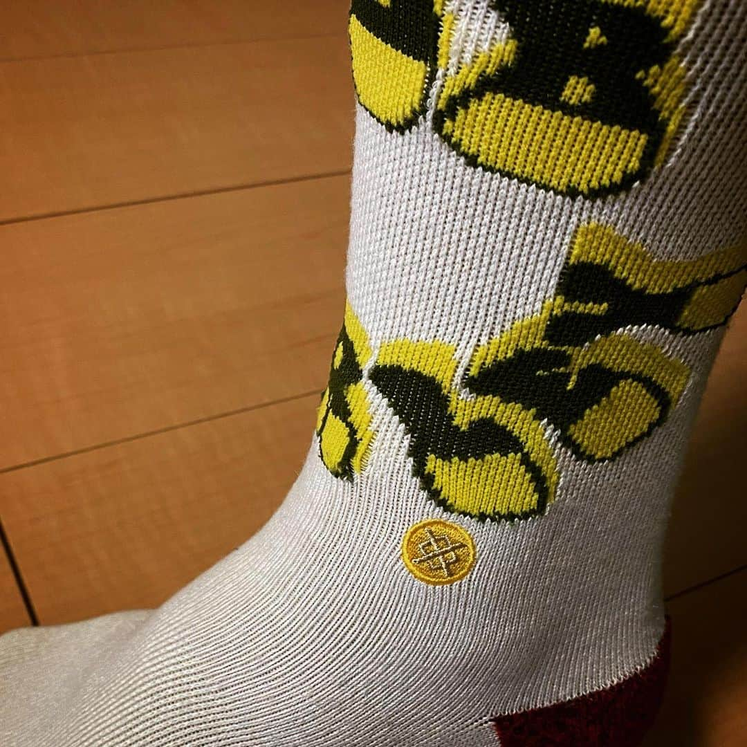 鈴木みのるさんのインスタグラム写真 - (鈴木みのるInstagram)「Today's STANCE  #stancesocks #stance_japan  #bobmarley  さ、寒い。こんな日は…気分だけでも南国気分…ボブマーリー…でも寒いものは寒い。。」12月20日 13時28分 - suzuki.d.minoru