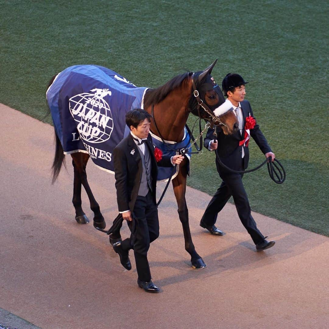 山本愛子のインスタグラム：「昨日は中山競馬場で、名馬アーモンドアイの引退式。  個人的に、「絶対指定席当てて自分への誕生日🎁にするぞ！」と意気込んだものの外れて撃沈😭  が、キャンセル枠で購入できてなんと競馬場に行くことができたんです😭😭！  もう嬉しすぎて！前日から遠足の前の日の小学生みたいになってて当日は無駄に早起きしてしまいました笑 （行けない方がたくさんいるのに浮かれてごめんなさい💦いち競馬ファンとしてこんな反応になってます💦）  久しぶりに競馬場で買う紙馬券…以前よりは少し離れたところからにはなりますが、🐴を近くで見られるパドック…競馬場で買う新聞…生で観られるレース…  もう本当に感動😭✨ 一つ一つがとても嬉しい😭  しかも、仲良しumajoの#石川彩夏 ちゃんと#色紙千尋　ちゃんも偶然抽選当たってて！！（私はくじ運ないな笑）  みんなとは前々から早く一緒に競馬場で観戦したいねって言ってたから、この日に三人も競馬場にいられるなんて最高でした！  特に色紙ちゃんはずーっとアーモンドアイを近くで応援してきたから、昨日来られて本当によかったなぁと😍💕  パドックでの引退式、アーモンドアイが出てきたときにはこれまでの素晴らしいレース映像を振り返りながら「改めてすごい馬だなぁ こんな名馬が活躍してる時代に自分が競馬しててよかったなぁ」と思いました😊  ルメール騎手のお手紙も素敵でしたし、「最後にアーモンドアイへの一言を」とふられた国枝調教師がずーっとアーモンドアイの方を見ながらメッセージを贈られていて。 じーんときましたね😭✨✨ 本当にお疲れ様でした！ ありがとう💕  #アーモンドアイ #引退式 #中山競馬場 #パドック #umajo #最高の誕生日」