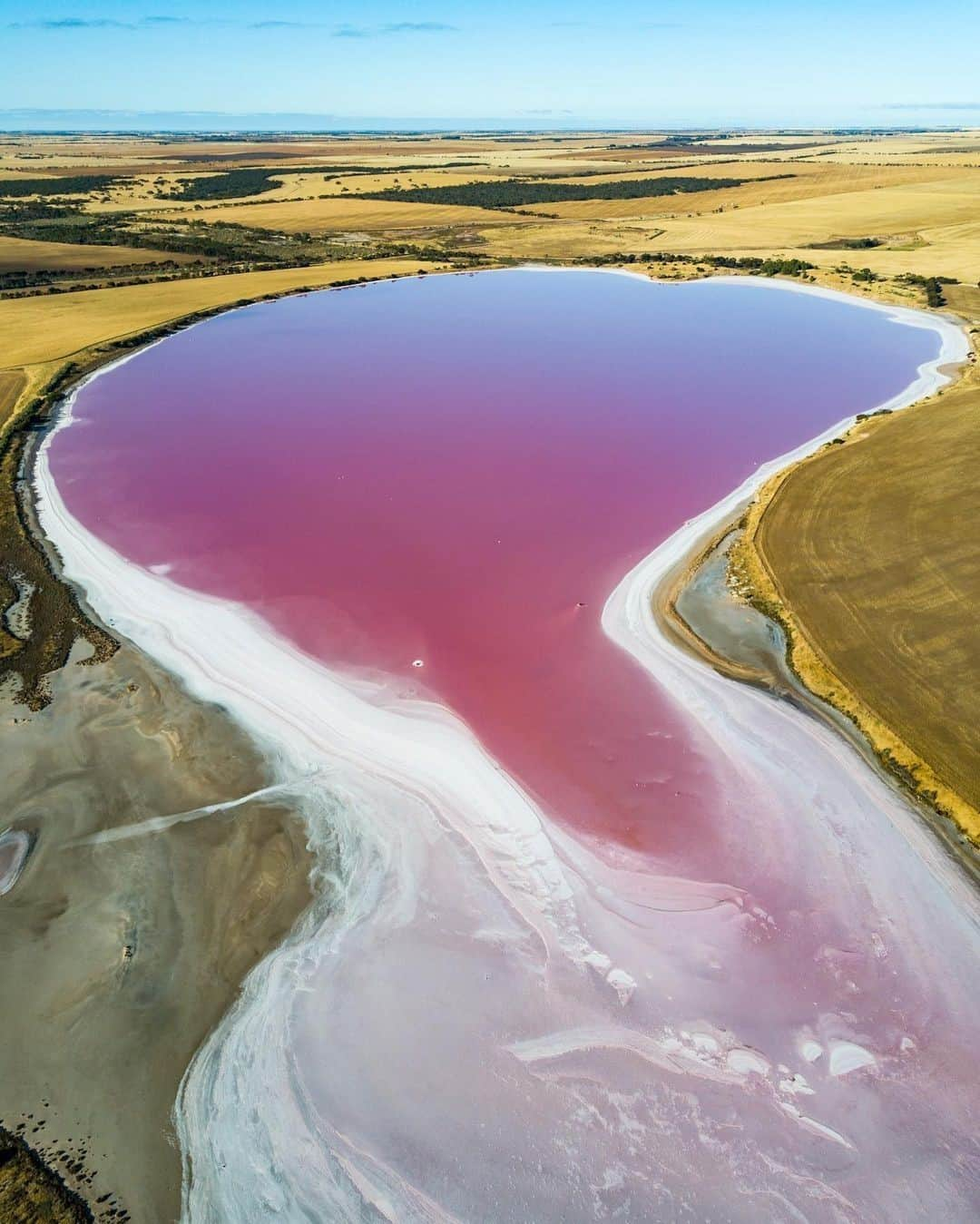 Australiaさんのインスタグラム写真 - (AustraliaInstagram)「The salt lakes of the #YorkePeninsula love to turn it on for a photo and @susiereynolds66 sure got a great one 📷 😍  At just over an hour’s drive from #Adelaide in @southaustralia, this area makes for a pretty special escape and not just for the spectacular sight of the hundreds of pink lakes in the region. Fishing, boating, surfing, swimming, camping, and bushwalking along the 700 kilometres of pristine coastline will keep you busy for days, or, jump in the car and wind your way along the coast on the #CoastalWayRoadTrip. #seeaustralia  #SeeSouthAustralia #holidayherethisyear」12月20日 19時00分 - australia