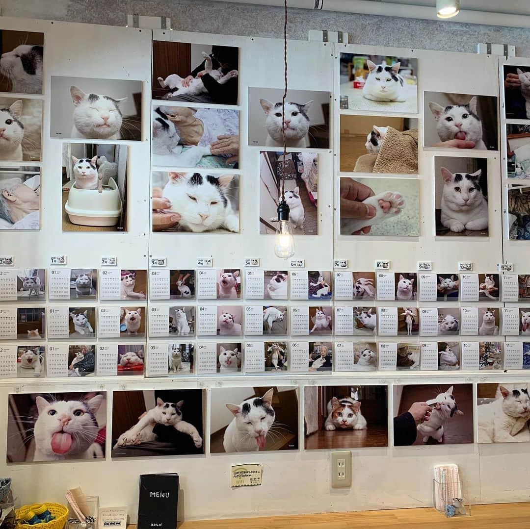 Kachimo Yoshimatsuのグルメインスタ