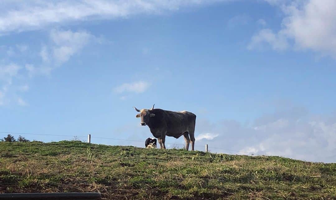 けちょんさんのインスタグラム写真 - (けちょんInstagram)「外寒すぎるのに-30℃入ったら外あったかく感じたよ❄️からの牛🐂からの🐮イルミ ・ #マザー牧場 #たのしかった #バスめるモ」12月20日 14時13分 - ke_chon