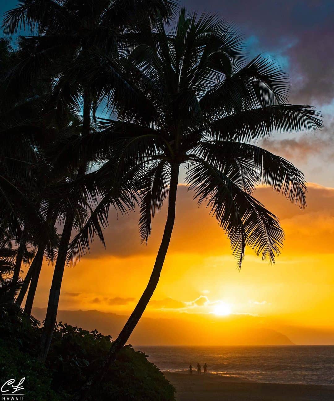 クラーク・リトルさんのインスタグラム写真 - (クラーク・リトルInstagram)「Tonight's sunset 🌴🌅🤙🏼 #hawaii #paradise #clarklittle 🆑」12月20日 14時27分 - clarklittle