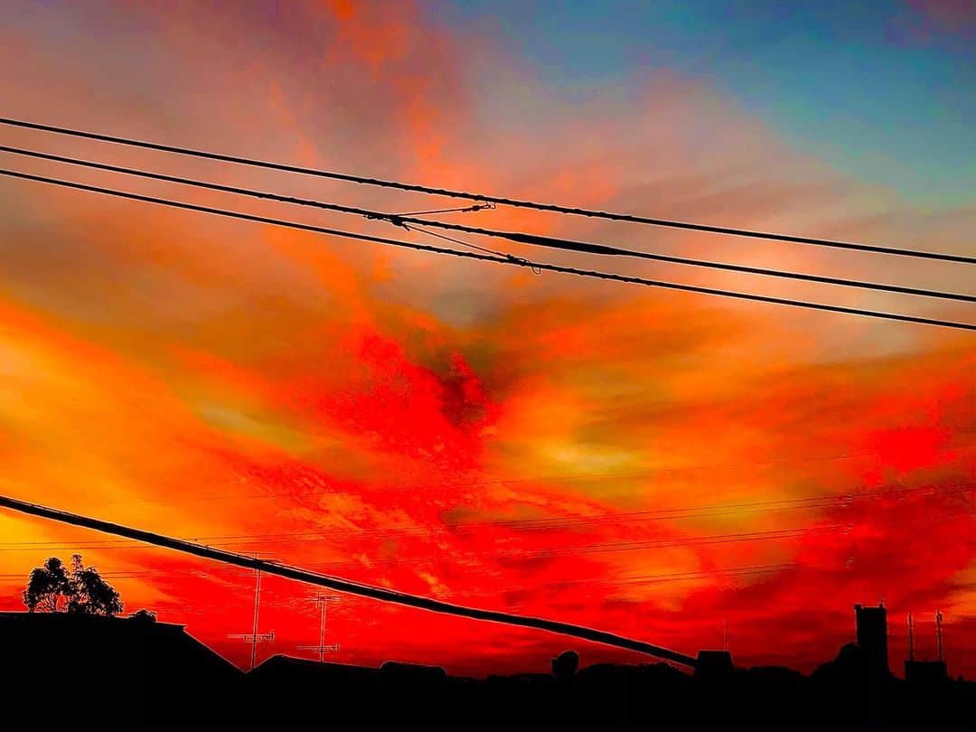 世良公則さんのインスタグラム写真 - (世良公則Instagram)「・・・・・・  夕焼けが紅いほど  寒さがやって来る  美しいほど  北風が身体に刺さる  The red the sunset, the next day is cold  ・・・・・・  #世良公則 #masanorisera #japanesemusician #japaneseartist #japaneseculture #sunset #beautifulview #coldday #tokyoview #夕焼け #サンセット #赤 #寒い日」12月20日 15時15分 - masanorisera