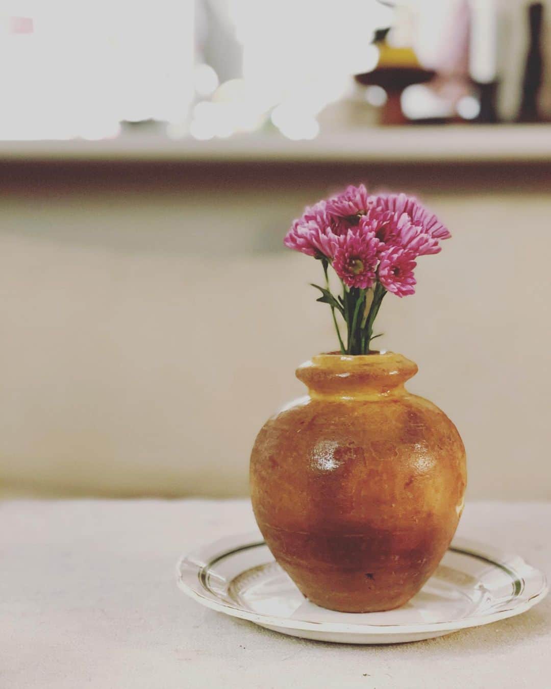 猫沢エミのグルメインスタ