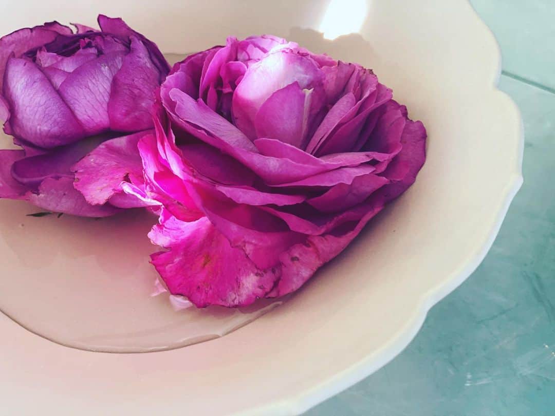 神崎恵さんのインスタグラム写真 - (神崎恵Instagram)「「まま！おはながかれてきちゃったねぇ。きれいだったのにねぇ。かわいそうだねぇ。」 「そうだねぇ。でも、枯れてるところもキレイだなぁってママ思うんだぁ」 お花が枯れるのを残念そうに眺める息子も、こうして花器に浮かべると 「きれいだねぇ‼️」と目を✨✨。 生き生きと咲く花は美しい。 その瞬間を過ぎた花の美しさも、また心に沁みるものがあります。 今日は　@velnica_japan の花器に浮かばせて🌸 くたんとした花びらも、こうして浮かばせるとまた瑞々しさが。  ひとつ前の投稿。 たくさんの「今日の風景」が浮かんでとても鮮やかな気持ちになりました。 ありがとうございます😌 わたしは息子とあそび、コスメを仕事部屋に運び、食材を買いに行き、電話取材を終わらせたらもうこの時間。 日曜日はいつだってあっという間に過ぎていく💨 明日からのかなり濃密な1週間。 終わりよしの2020年になるように、心を込めて過ごします✨」12月20日 16時02分 - megumi_kanzaki