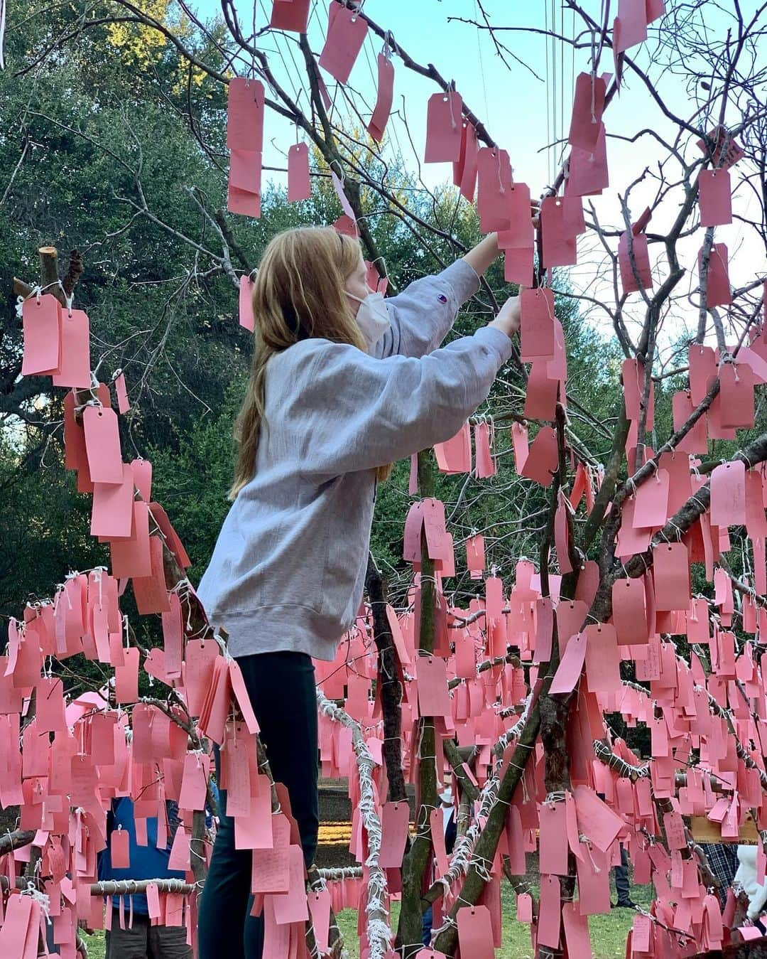 サラ・ラファティさんのインスタグラム写真 - (サラ・ラファティInstagram)「Safely visited the wishing tree at Descanso Gardens today. And I cried, (like you told me too @michaelmedicola) and just like I did when I visited Shrines and Temples in Japan and read the prayers handwritten and hung up on small wooden plaques (with @mauracraig1). At the time I thought it might be the jet lag. Today I know it’s the reminder that we are all so much more alike than we are different. My little one will get her wish, but over zoom this year. And we will hold out hope for next Christmas. Meantime I join the prayers I read today (swipe). May everyone have a home; I wish Marie and everyone like her peace in their time of such grief; may your life be happy and healthy and may LOVE ALWAYS FIND YOU; to Jackson’s Aunt, I pray your “darling nephew”will be cured of cancer; may the states be truly united in love; may Covid be over; and above all may there be MORE MAGIC.」12月20日 15時58分 - iamsarahgrafferty