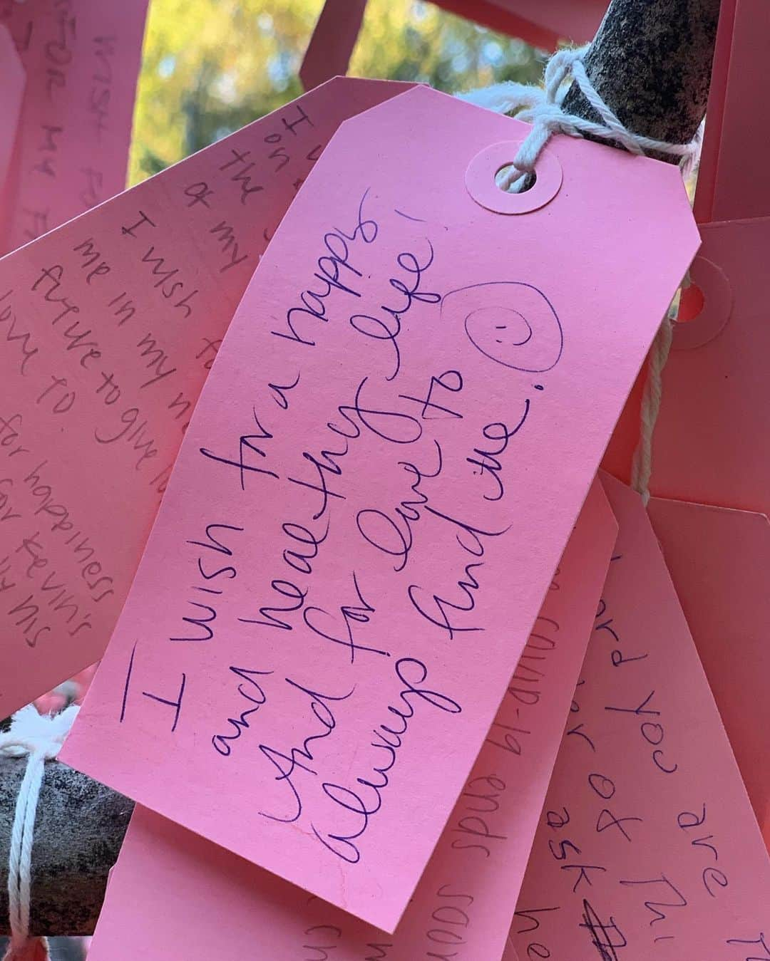 サラ・ラファティさんのインスタグラム写真 - (サラ・ラファティInstagram)「Safely visited the wishing tree at Descanso Gardens today. And I cried, (like you told me too @michaelmedicola) and just like I did when I visited Shrines and Temples in Japan and read the prayers handwritten and hung up on small wooden plaques (with @mauracraig1). At the time I thought it might be the jet lag. Today I know it’s the reminder that we are all so much more alike than we are different. My little one will get her wish, but over zoom this year. And we will hold out hope for next Christmas. Meantime I join the prayers I read today (swipe). May everyone have a home; I wish Marie and everyone like her peace in their time of such grief; may your life be happy and healthy and may LOVE ALWAYS FIND YOU; to Jackson’s Aunt, I pray your “darling nephew”will be cured of cancer; may the states be truly united in love; may Covid be over; and above all may there be MORE MAGIC.」12月20日 15時58分 - iamsarahgrafferty