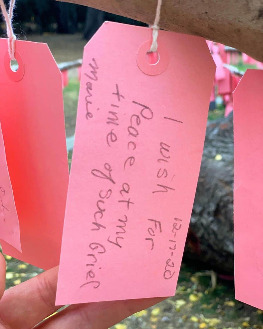 サラ・ラファティさんのインスタグラム写真 - (サラ・ラファティInstagram)「Safely visited the wishing tree at Descanso Gardens today. And I cried, (like you told me too @michaelmedicola) and just like I did when I visited Shrines and Temples in Japan and read the prayers handwritten and hung up on small wooden plaques (with @mauracraig1). At the time I thought it might be the jet lag. Today I know it’s the reminder that we are all so much more alike than we are different. My little one will get her wish, but over zoom this year. And we will hold out hope for next Christmas. Meantime I join the prayers I read today (swipe). May everyone have a home; I wish Marie and everyone like her peace in their time of such grief; may your life be happy and healthy and may LOVE ALWAYS FIND YOU; to Jackson’s Aunt, I pray your “darling nephew”will be cured of cancer; may the states be truly united in love; may Covid be over; and above all may there be MORE MAGIC.」12月20日 15時58分 - iamsarahgrafferty