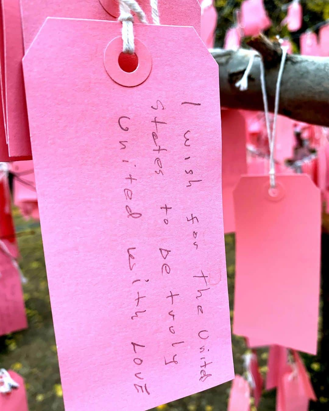 サラ・ラファティさんのインスタグラム写真 - (サラ・ラファティInstagram)「Safely visited the wishing tree at Descanso Gardens today. And I cried, (like you told me too @michaelmedicola) and just like I did when I visited Shrines and Temples in Japan and read the prayers handwritten and hung up on small wooden plaques (with @mauracraig1). At the time I thought it might be the jet lag. Today I know it’s the reminder that we are all so much more alike than we are different. My little one will get her wish, but over zoom this year. And we will hold out hope for next Christmas. Meantime I join the prayers I read today (swipe). May everyone have a home; I wish Marie and everyone like her peace in their time of such grief; may your life be happy and healthy and may LOVE ALWAYS FIND YOU; to Jackson’s Aunt, I pray your “darling nephew”will be cured of cancer; may the states be truly united in love; may Covid be over; and above all may there be MORE MAGIC.」12月20日 15時58分 - iamsarahgrafferty