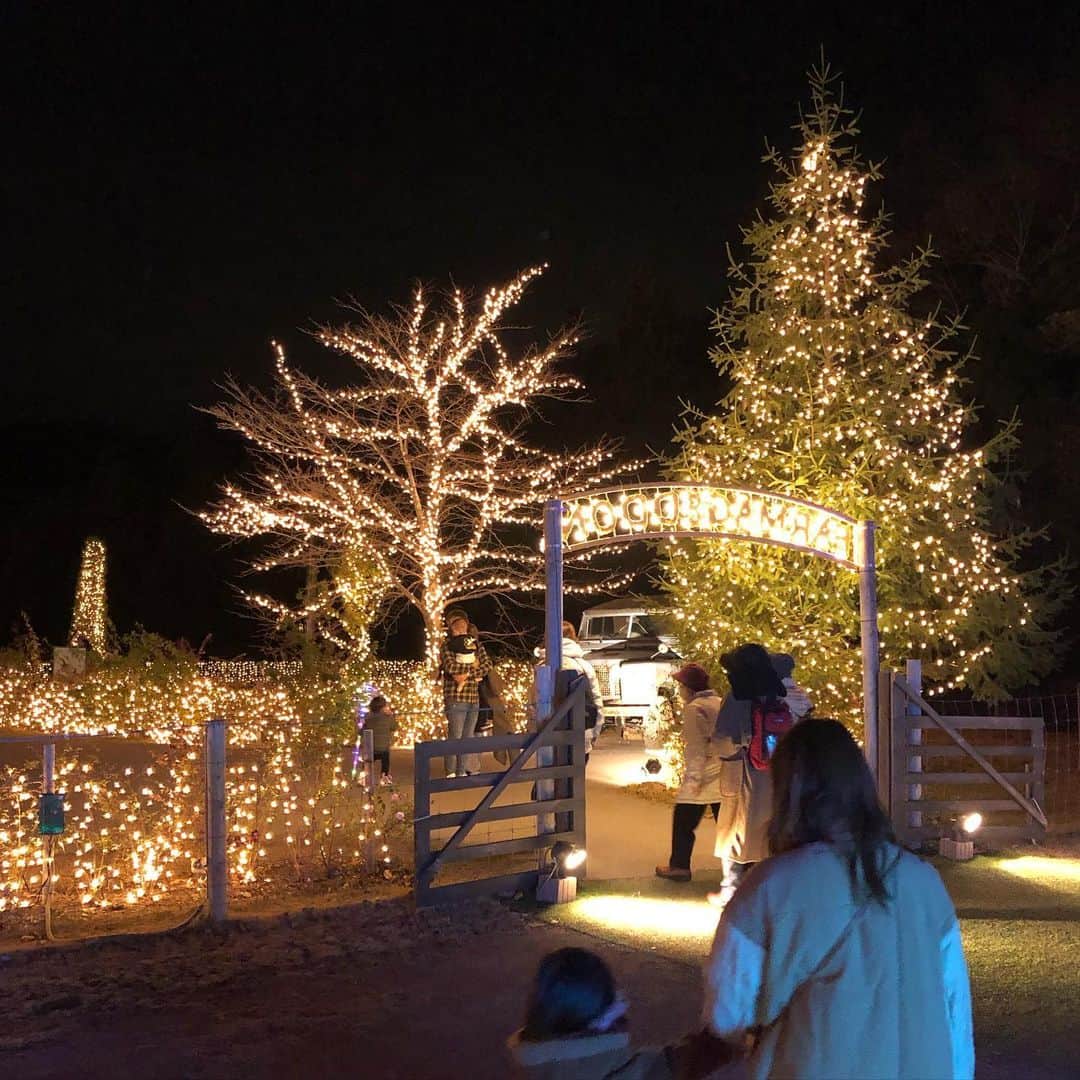 mai_1106のインスタグラム：「2020.12.20 * 🎄✨🍦 * * 4歳1ヶ月 1501days * * *」