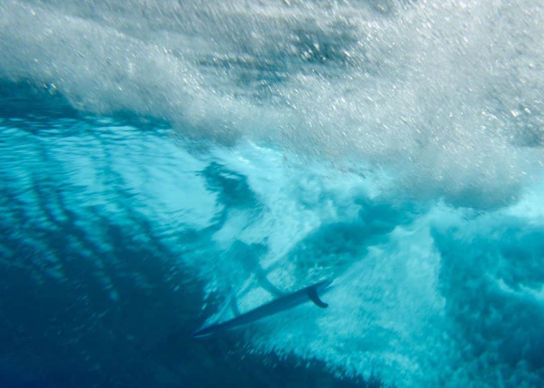 フェリシティー・パルマティアーのインスタグラム：「Skin Deep out now.   Link in bio.  Frame grab: @fetchfilms」