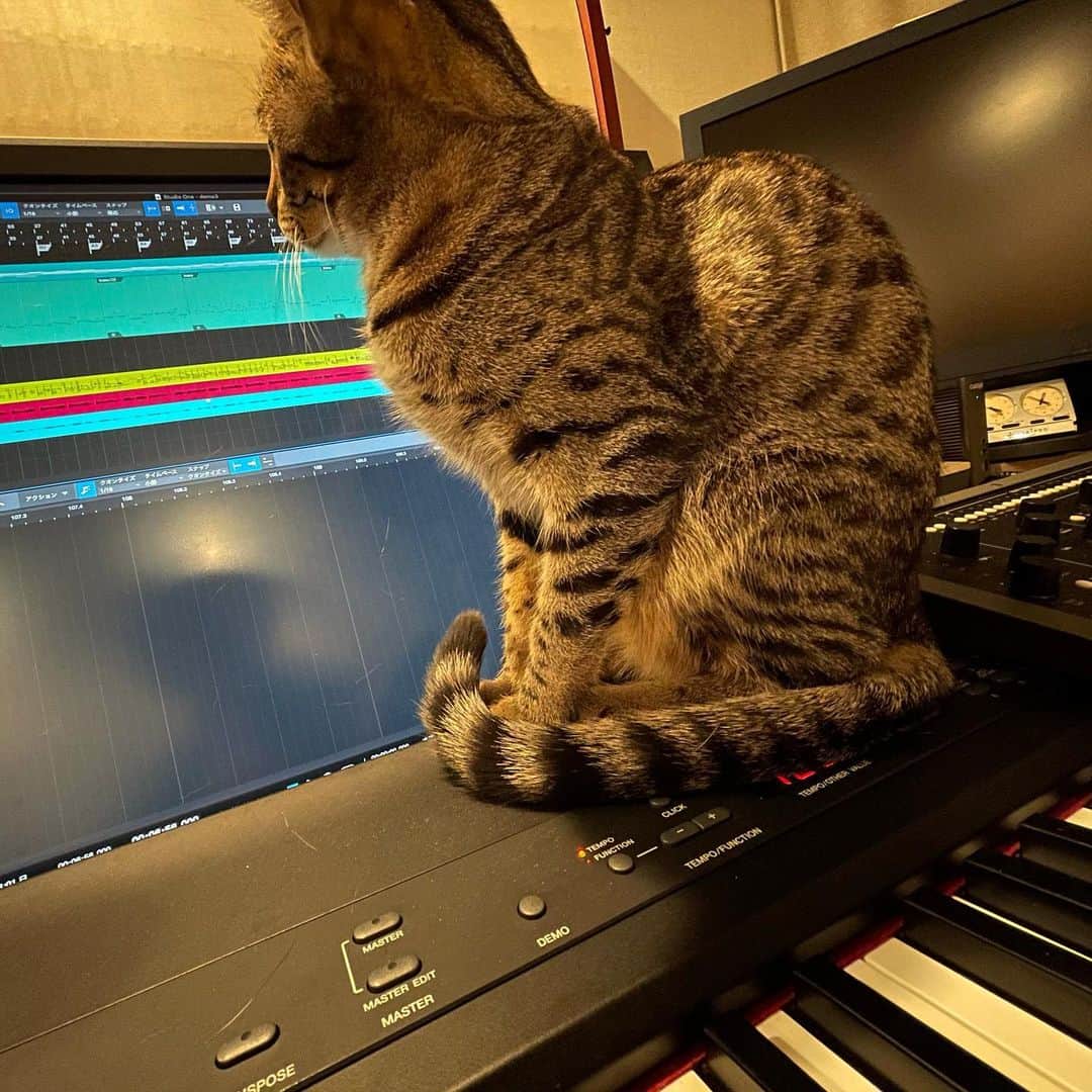 溝口肇のインスタグラム
