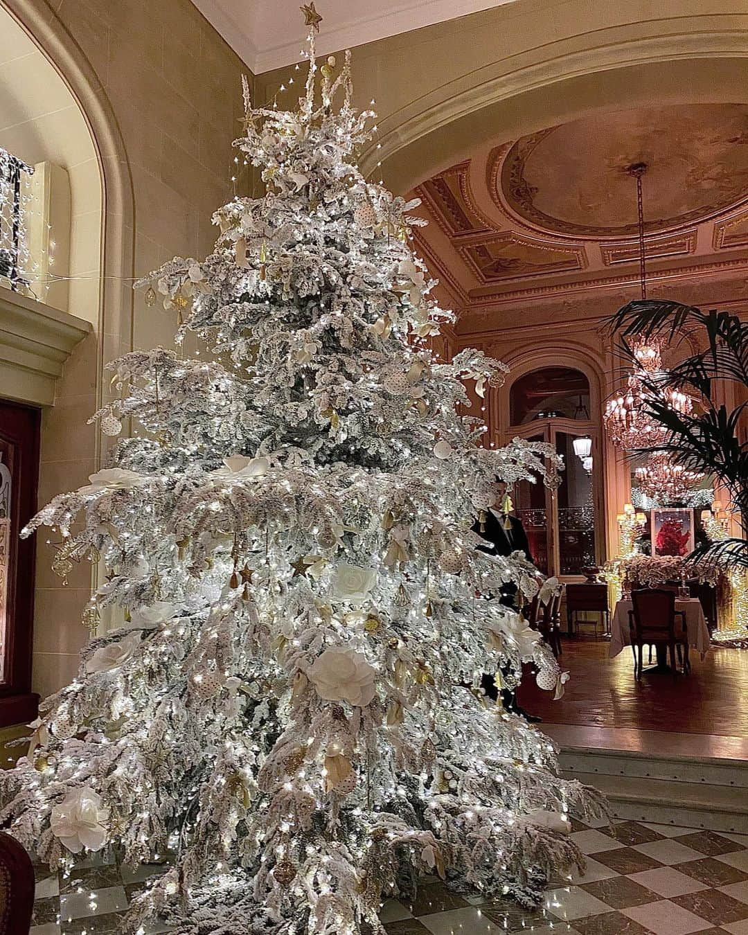 瀧口杏耶さんのインスタグラム写真 - (瀧口杏耶Instagram)「#hotelreginaparis 🎄 * クラシックな内装に真っ白なツリー🤍 * #ホテルレジーナパリ#ホテルレジーナ#レジーナ#パリ旅行#hotelregina#hotelinparis#christmasinparis#xmasdecorations🎄」12月20日 17時11分 - aya_0429