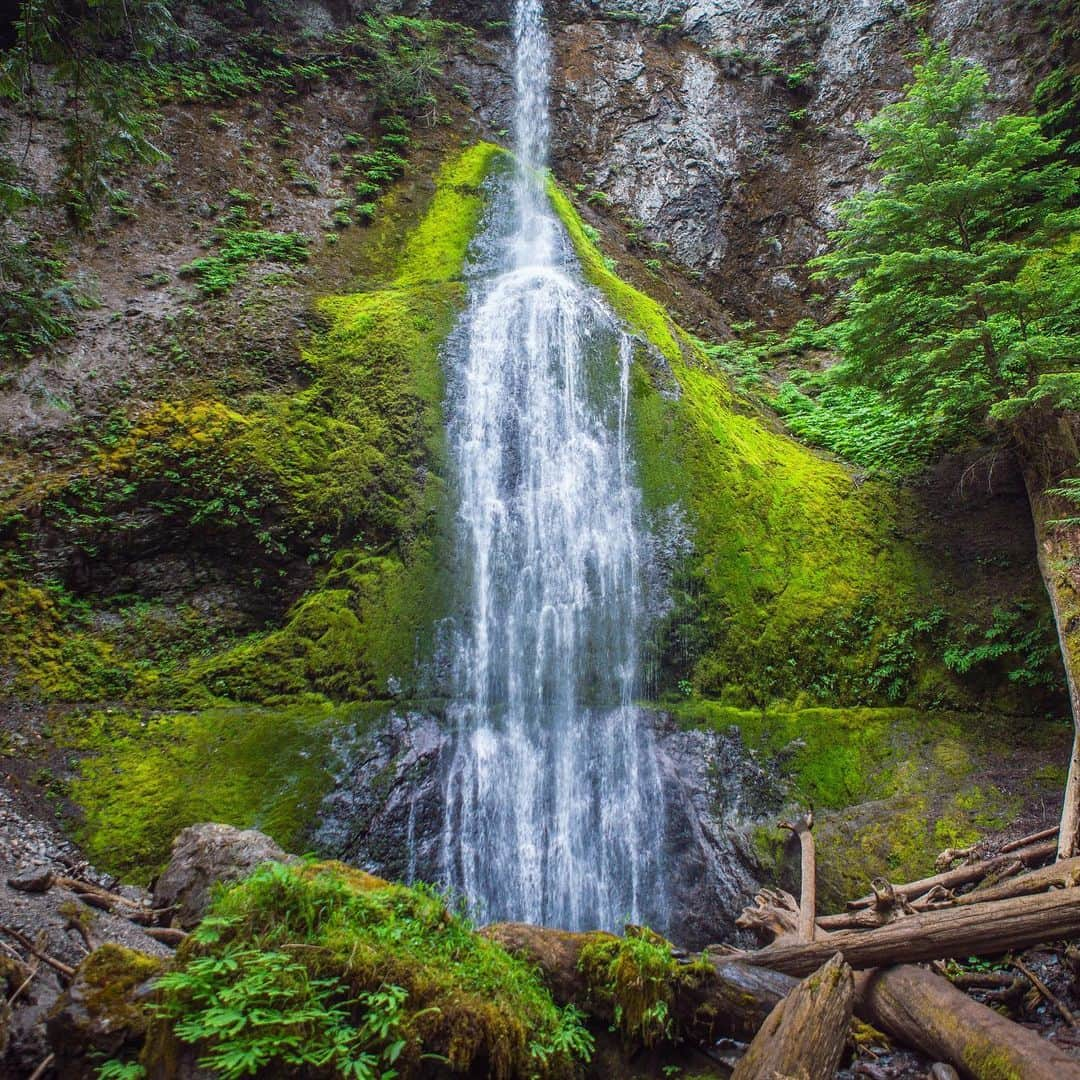 サラ・ジーン・アンダーウッドさんのインスタグラム写真 - (サラ・ジーン・アンダーウッドInstagram)「Blessing your feed with Mother Nature 🤙🏻 . 📸 by @stevebitanga . #waterfall #beautifuldestinations #wildernessculture #earthfocus #getoutside #neverstopexploring」12月21日 3時17分 - saraunderwood