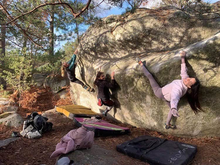 キャロライン・シノのインスタグラム：「Girls girls girls 💖 @bery_bleau @bettybetafont  Ça fait plaisir de regrimper ensemble et de recroiser du monde en forêt☺️  Belle journée sur les hauteurs d’Apremont. 📸 @fanatic.climbing sur Rockmaninov 8a」