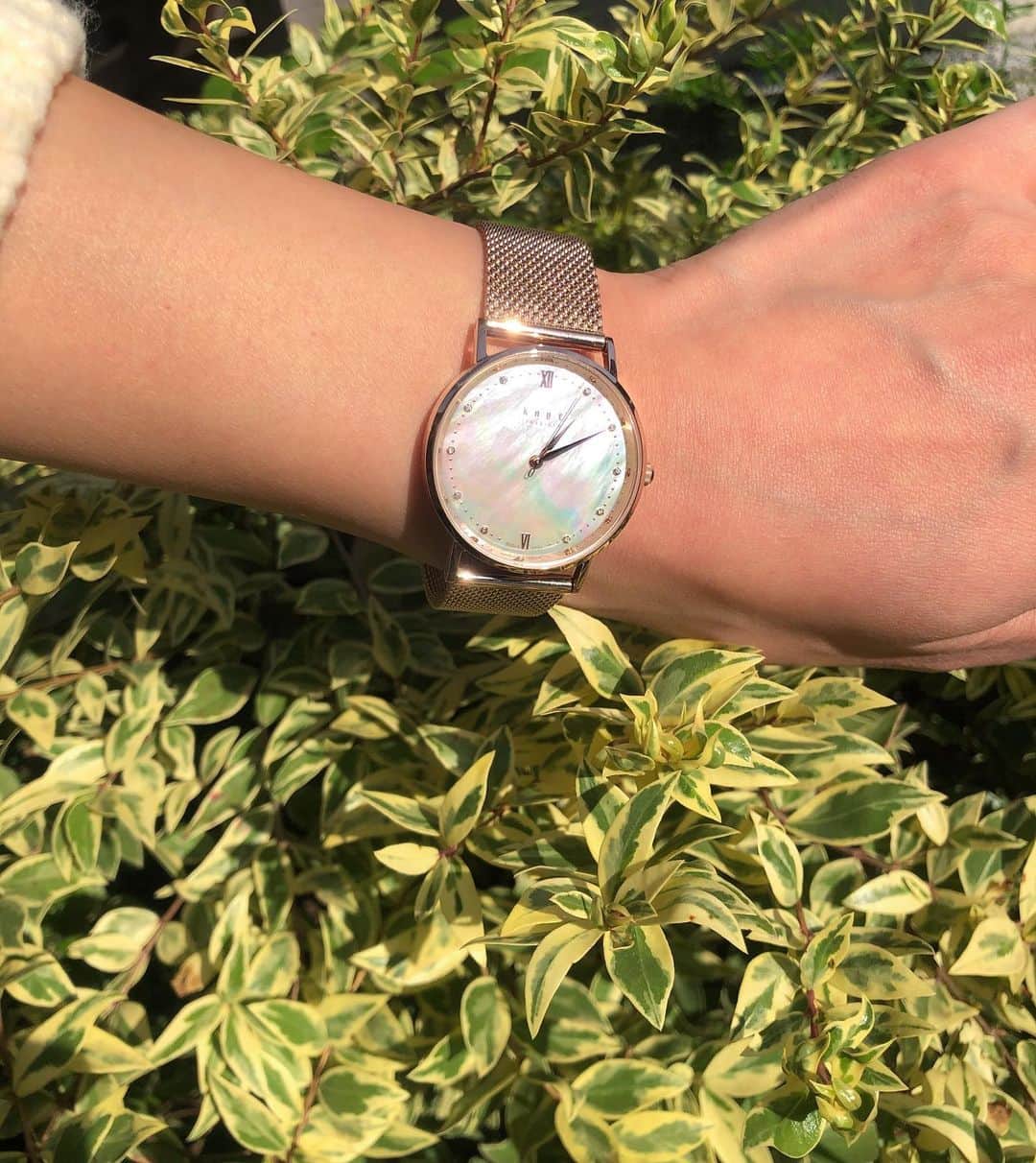 石川瑠利子さんのインスタグラム写真 - (石川瑠利子Instagram)「. . knot の腕時計✨ 文字盤にはマザーオブパールが使われていてとっても綺麗🥺 ベルトが取れるので自分の好きにカスタマイズ出来るのもいい🙆🏻‍♀️❤️これならギフトにもいいなぁ🤤💕 . . #Knotwatch #watch #fashion #SPRiNG」12月20日 19時07分 - ruriko_ishikawa