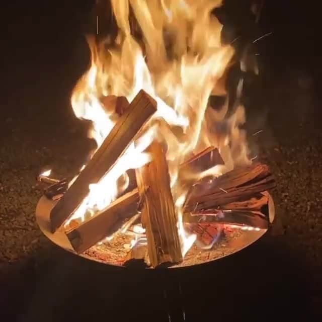 Coleman Japanのインスタグラム：「＼CAMP FIRE🔥／  📹：コールマン アドバイザリー 幕張新都心店  焚き火キャンプには欠かせない「ファイアーディスク」は、設置3秒！灰の後片付け超楽！良く燃えます！萌えます😆   ※※※※※※※※※※※※※※※※※※※※※※※※ ＼#私のベストギア 大募集！／  今年を振り返って、キャンプやおうちキャンプで大活躍したファニチャーやギアを『#私のコールマン』と『#私のベストギア』をつけて投稿しよう。投稿頂いた中から抽選で〈3名様〉に2021年の新商品「シングルガスストーブ120A」をプレゼント！  応募期間：2020/12/2〜12/31  ※InstagramまたはTwitterが対象となります。 ※当選発表は1月下旬予定・発送は入荷次第（3月上旬予定）となります。 ※非公開は対象外となります。 ※当選はDMでお知らせします。 ※※※※※※※※※※※※※※※※※※※※※※※※ ・ ・ ・ #灯そうColeman #灯そうコールマン #灯そう #Coleman #コールマン #Camp #キャンプ #Outdoor #アウトドア #焚き火 #焚き火台 #焚き火キャンプ #ファイアーディスク #ファイアーディスクプラス #コールマンアドバイザリーショップ #スポーツオーソリティ幕張新都心店」