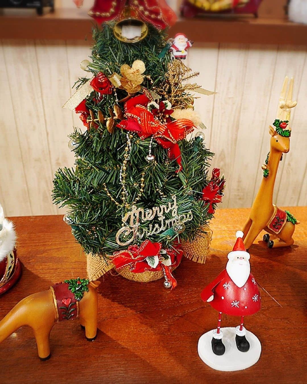 堂真理子さんのインスタグラム写真 - (堂真理子Instagram)「「おかずのクッキング」のスタジオも、今回はクリスマス仕様でした🎄✨ この週末、皆さんはどのように過ごしましたか？ 明日からもまた頑張りましょう❣️  　#スタジオ も 　#クリスマス 仕様 　#クリスマスツリー 　#おかずのクッキング　#料理 　#テレビ朝日　#堂真理子　#アナウンサー」12月20日 20時23分 - mariko_do