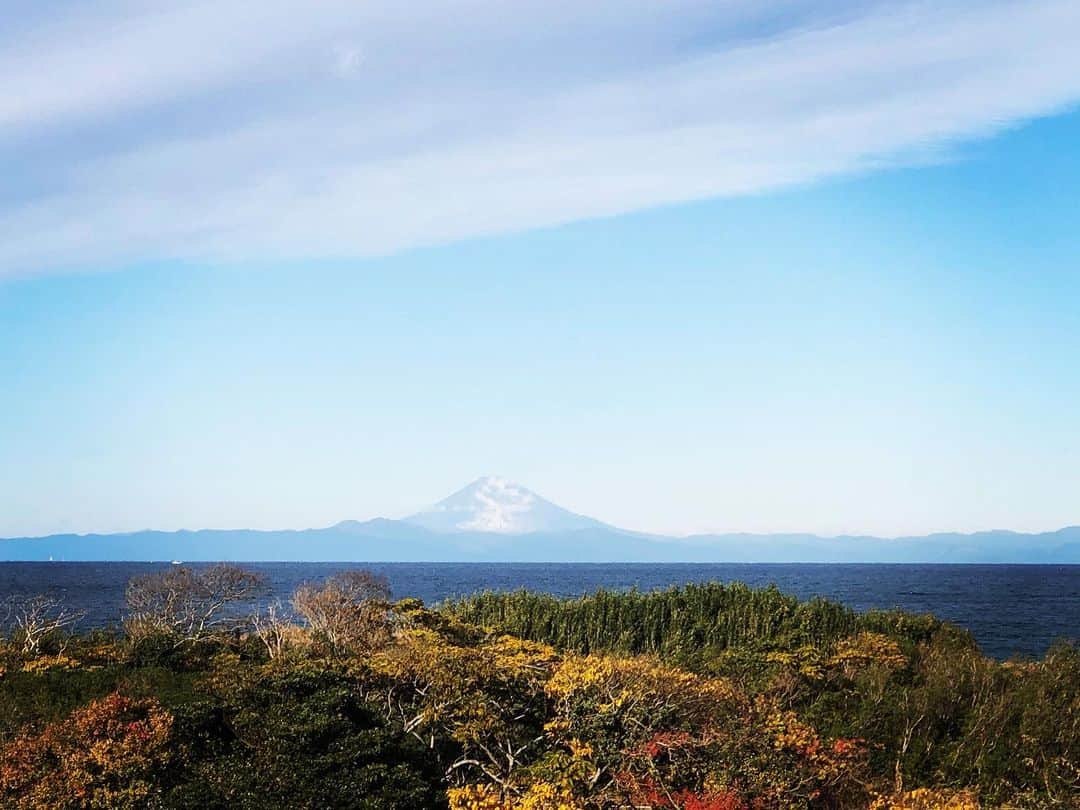 飯沼誠司のインスタグラム