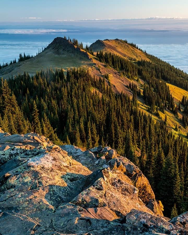 National Geographic Travelさんのインスタグラム写真 - (National Geographic TravelInstagram)「Photo by @stephen_matera / Sunrise illuminates the Olympic Mountains and Strait of Juan de Fuca, as seen from the Olympic Peninsula. The strait is between the Olympic Peninsula in Washington State and Vancouver Island in British Columbia, Canada. It is the outlet to the Pacific Ocean from the Puget Sound, also known as the Salish Sea. Follow me @stephen_matera for more images like this from Washington and around the world. #olympicpeninsula #salishsea」12月20日 20時39分 - natgeotravel