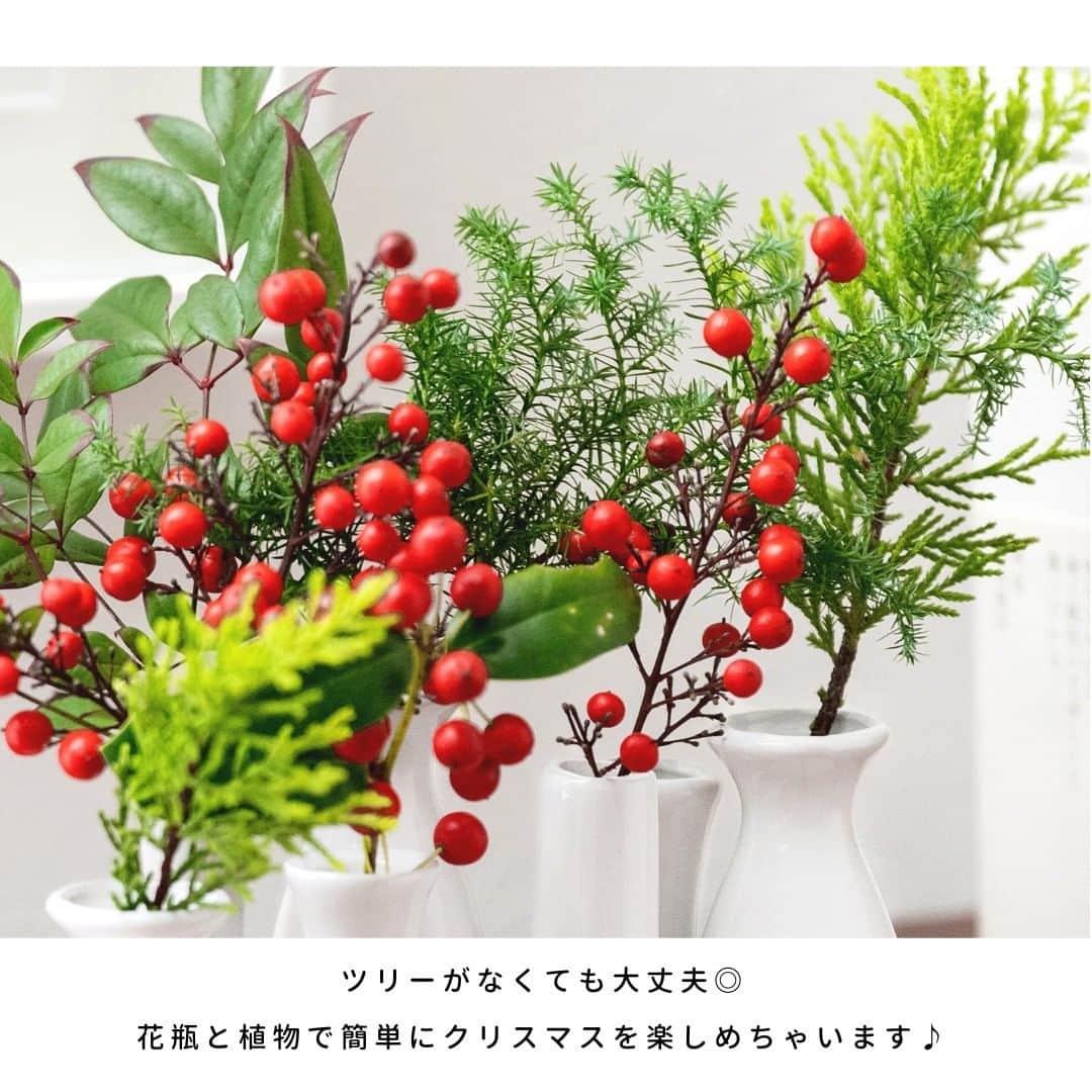 LOVEGREEN -植物と暮らしを豊かに。さんのインスタグラム写真 - (LOVEGREEN -植物と暮らしを豊かに。Instagram)「［編集部のすゝめ］  〜花瓶と植物でカンタン♪クリスマスを楽しむ〜 . . もうすぐクリスマス！ 編集部では、オフィスに飾る植物をちょっぴりクリスマス風にアレンジしてみました。 クリスマスツリーがなくてもクリスマスを満喫中🎄 みなさんも、ちょっとしたひと工夫でクリスマス楽しんでみませんか？ 今回は編集部が考えたクリスマス風アレンジをご紹介します！  ─────────────────── ～花瓶と植物でできる♪～ 編集部のクリスマス風アレンジ ───────────────────  ◆使用したバルコニーの植物◆ ------------------------- 【南天】 赤い実をつけるクリスマスの植物といえば、「クリスマスホーリー」などをイメージされる方も多いのではないでしょうか。 今回生けたのは南天。 バルコニーでたわわになった赤い実が目にとまったので、花瓶にプラスしてみました 南天といえば、お正月などのイメージがありますが こうして赤い実ものをプラスするとクリスマスらしさがぐっとアップしますよね♪ ------------------------- 【ヒムロスギ】 フレッシュ素材のクリスマスリースによく使用されるヒムロスギ。細やかでボリュームがある濃いグリーンの葉はまさに、クリスマスのアレンジにぴったり。 ------------------------- 【コニファー】 品種が多く、寄せ植えの引き立て役や庭木、街路樹としても親しまれている植物です。コニファーもクリスマスシーズンにはリースの材料としてよく使用されます。 バルコニーのコニファーもさっそくちょっぴり剪定！ 花瓶に生けると、明るいグリーンがアクセントになってくれました。 -------------------------  ◆使用した花瓶◆ ------------------------- 『バーナクルボトル』 ７つの一輪挿しがついたユニークな形のフラワーベース。 ボリュームたっぷり生けられるので、今回のようにボリューミーなアレンジにはぴったりです。 カラーはホワイト、マルチの2タイプ。 お庭でつんだ植物や、切り戻して小さくなったお花も気軽に生けられます◎ ドライフラワーを飾るのにもおすすめです。 . ------------------------- いつもの暮らしにちょっぴりの工夫でクリスマスらしさをプラス🎄 花瓶と植物のアレンジみなさんもぜひお試しください🌱 -------------------------  ▶今回ご紹介した植物たち。詳しくはLOVEGREENでもご覧いただけます。気になった方はプロフィールのリンクからどうぞ♪ . ▶お買いものもプロフィールのリンクから。ご紹介した商品のさらに詳しい情報をご覧いただけます！→@lovegreen_official . ▶または写真内の商品タグをタップしてみてください◎ . . #クリスマス #クリスマスツリー #冬 #冬の花 #季節 #季節を楽しむ #赤 #緑 #南天 #実 #赤い実 #クリスマスホーリー #ヒムロスギ #コニファー  #植物 #植物のある暮らし #植物のある生活 #庭 #庭木 #クリスマスアレンジ #クリスマスアレンジメント #花瓶 #一輪挿し #フラワーベース #花 #flower #flowers #花のある暮らし #暮らし #暮らしを楽しむ」12月20日 21時00分 - lovegreen_official