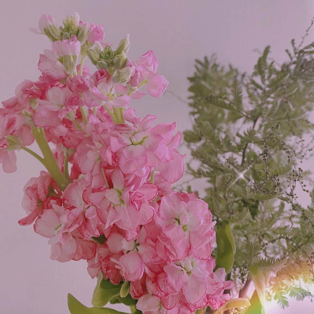 菅原紗由理のインスタグラム：「【いつも応援してくれている皆様へ】  私事ではありますが、 本日は、いつも応援してくれている皆様へ 大切なご報告があります。(＾_＾) ▶︎ https://thesplay.jp/contents/389631  #THESxPLAY #菅原紗由理」