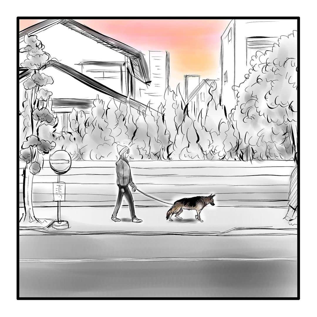 てらりんさんのインスタグラム写真 - (てらりんInstagram)「『ゴボウ』㉒／最終話 何とか年内に終われました。  #漫画 #マンガ #まんが #インスタ漫画 #創作 #コミック #イラスト #犬 #シェパード #ゴボウ #manga #comic #illustration #art #drawing #dog #germanshepherd #alsatian #gobo」12月20日 21時19分 - terarin08