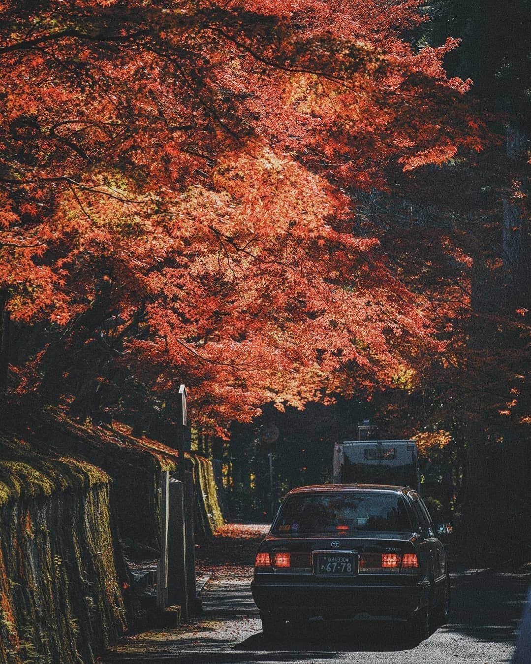 Berlin Tokyoさんのインスタグラム写真 - (Berlin TokyoInstagram)「The Autumn colors in the ancient capital of Japan. . . . #hellofrom #kyoto #japan」12月20日 22時10分 - tokio_kid