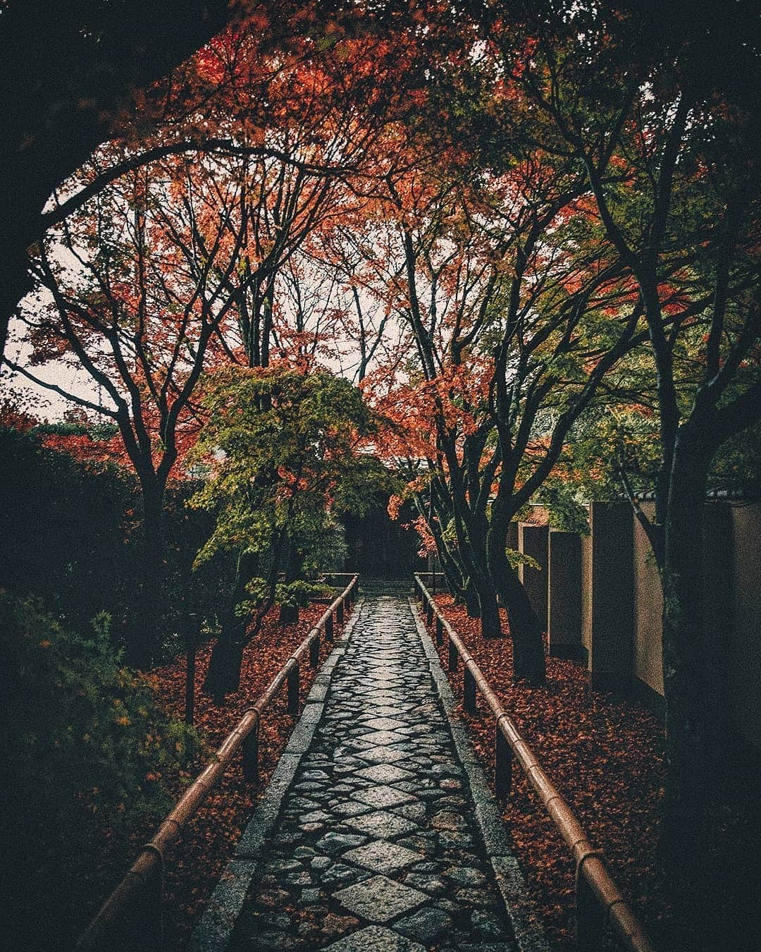 Berlin Tokyoさんのインスタグラム写真 - (Berlin TokyoInstagram)「The Autumn colors in the ancient capital of Japan. . . . #hellofrom #kyoto #japan」12月20日 22時10分 - tokio_kid