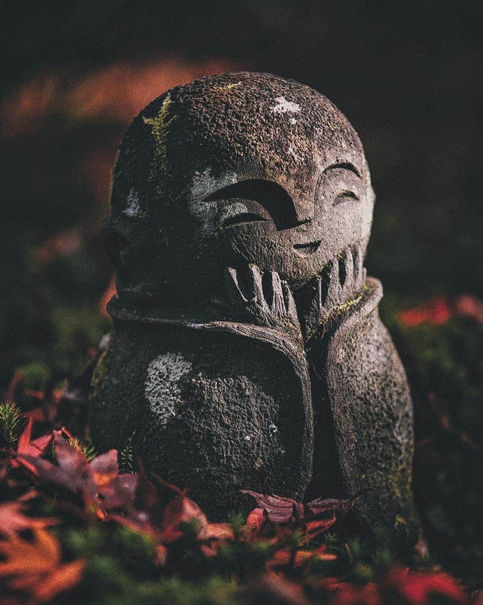 Berlin Tokyoのインスタグラム：「The Autumn colors in the ancient capital of Japan. . . . #hellofrom #kyoto #japan」