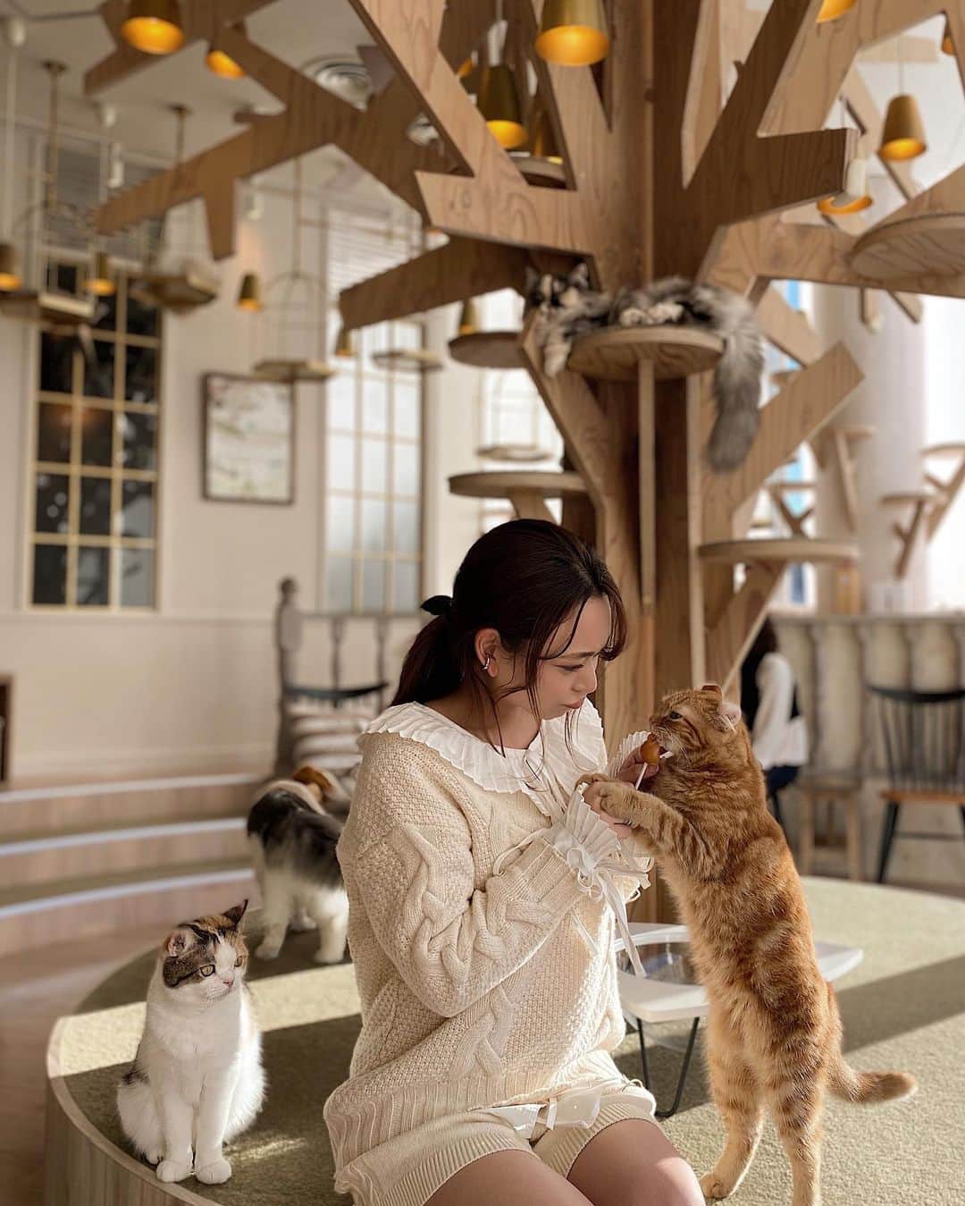 Yuuki mimuraさんのインスタグラム写真 - (Yuuki mimuraInstagram)「🐾“  𓍯  ℂ𝕒𝕥𝕔𝕒𝕗𝕖 𝕄𝕠𝕔𝕙𝕒 𝕙𝕒𝕣𝕒𝕛𝕦𝕜𝕦 𓂅  . . ここ最近いろんなお友達のお家で猫ちゃんと遊ばせてもらって 猫ちゃんってやっぱかわいいなぁ~って思ってたんだけど しばらくお友達のお家にもいってないので 我慢ならず…猫カフェに行っちゃった🚶🏼‍♀️笑笑  私が行ったのは原宿駅からすぐの 猫カフェMOCHA原宿店です☡✍︎  原宿駅の目の前に癒しの空間が… 原宿じゃなくても いろんなところに店舗があります🐈“  餌を追加で買ったりして 猫と戯れることができます…🤤  顔が緩みっぱなし…🙃 (最後の一枚の顔 あーっ可愛すぎるって悶絶してる顔… なんなん…笑笑  はーぁああああぁぁぁあああぁぁっ かわいいいいっっ  絶対また行く💨💨💨  . . #猫カフェmocha #猫カフェ #原宿猫カフェ  #猫スタグラム #ねこすたぐらむ #ねこ部  #猫ちゃん #原宿#東京 #ねこ部  #原宿カフェ#猫#猫のいる暮らし  #猫好きさんと繋がりたい #猫派 #catstagram#cat」12月20日 22時11分 - u0829u