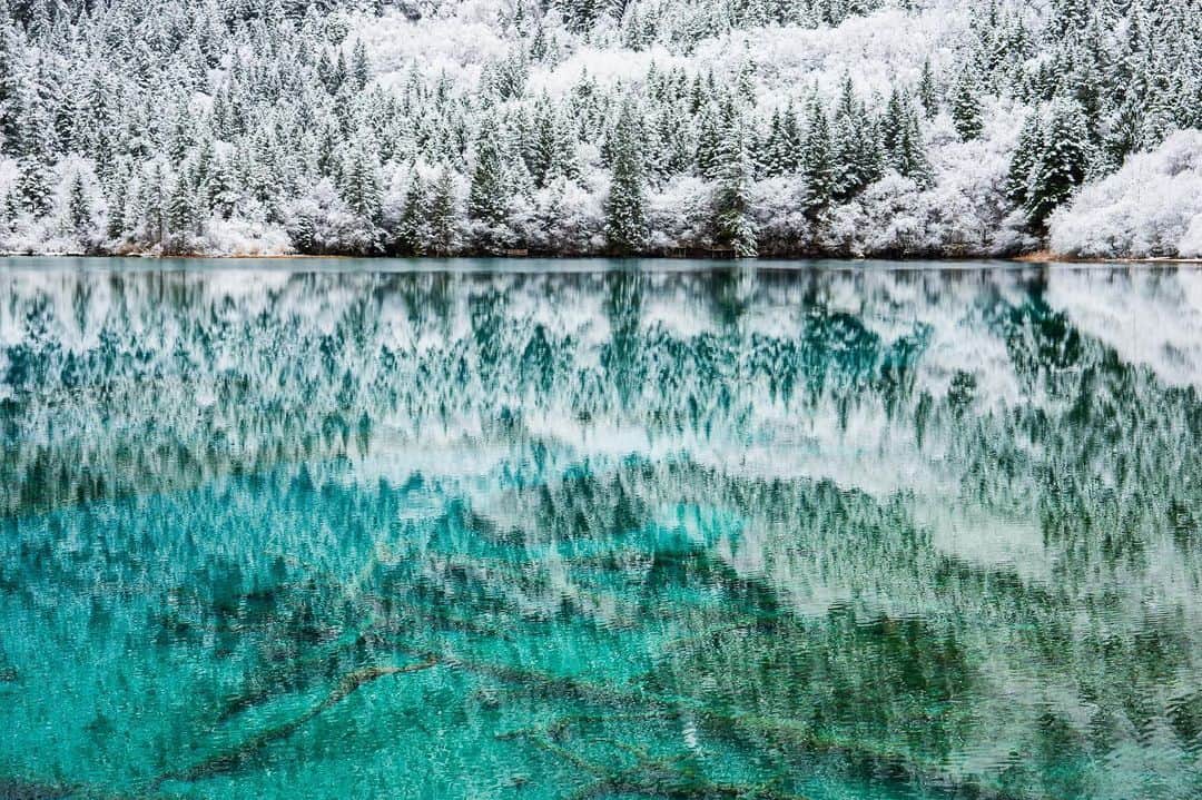 Michael Yamashitaさんのインスタグラム写真 - (Michael YamashitaInstagram)「Reflections in a pond:  This is not just any pond -- it's the aptly named Five Color Pond, in Sichuan, China's Jiuzhaighou National Park. Jiuzhaighou is a world apart and is quite simply the most photogenic spot in China. It is also the most popular and best managed forest reserve in China. It’s my personal vision of paradise, a photographer’s Shangri-La.    From the new edition of SHANGRI-LA [ALONG THE TEA ROAD TO LHASA]. Available where books are sold. @yamashitaphoto #Sichuan #JiuzhaigouValley #JiuzhaiValley #Jiuzhaigou #teahorseroad #chamagudao #ShangriLa」12月20日 22時17分 - yamashitaphoto
