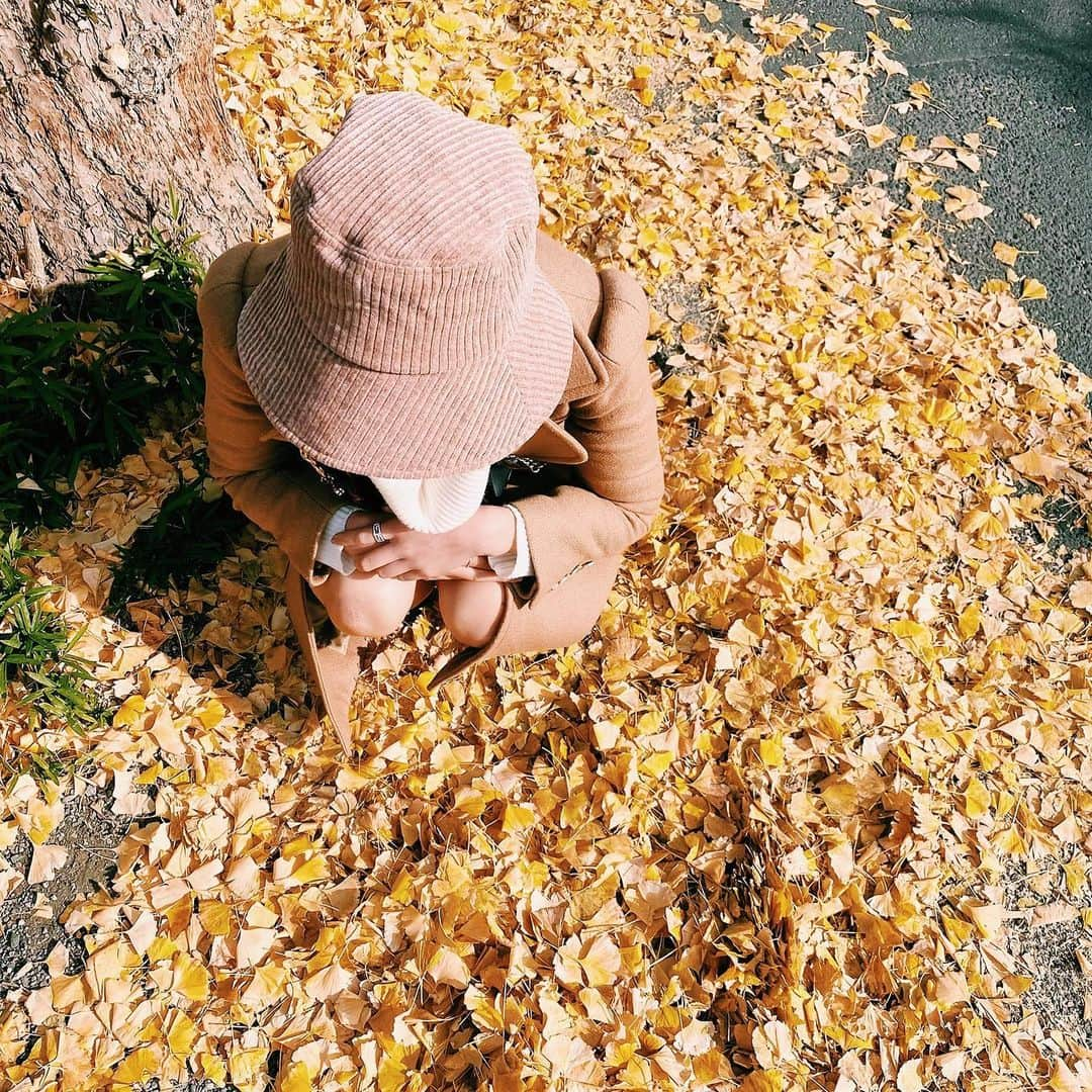 中島亜莉沙さんのインスタグラム写真 - (中島亜莉沙Instagram)「銀杏の葉が何枚あるか数えた日。(嘘) #イチョウ #胃腸」12月20日 22時35分 - arisan_days