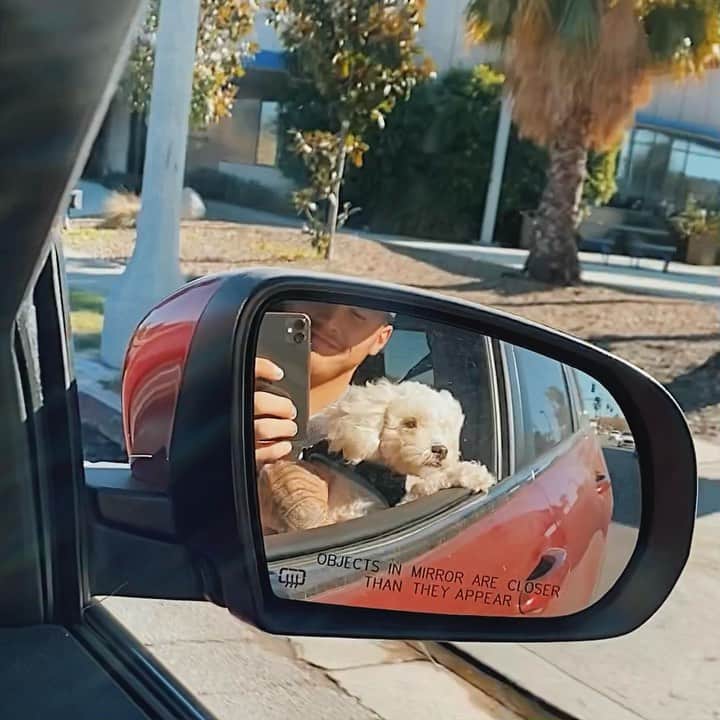 ブランドン・シェイアのインスタグラム：「just some good Sunday morning vibes 🎶🐶」