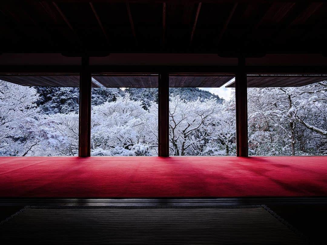 Ryoyaのインスタグラム：「One of my favorite temples in Kyoto🇯🇵 #kozanji #kyoto #temple #snow   Camera #GFX100 Lens #GF23mm ISO200 / 23mm / f11 / SS1/100 #高山寺 #雪」
