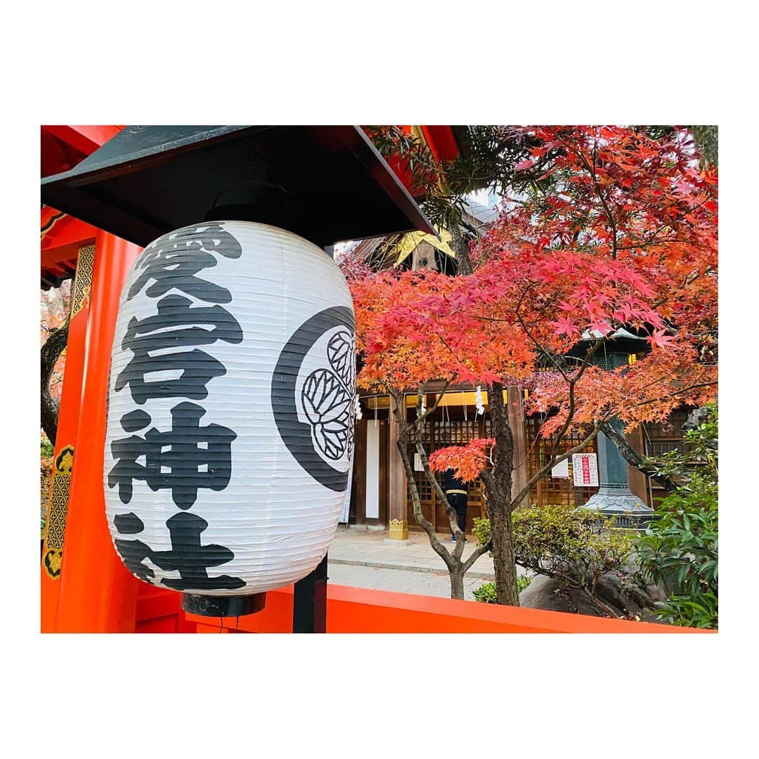 實石あづさのグルメインスタ