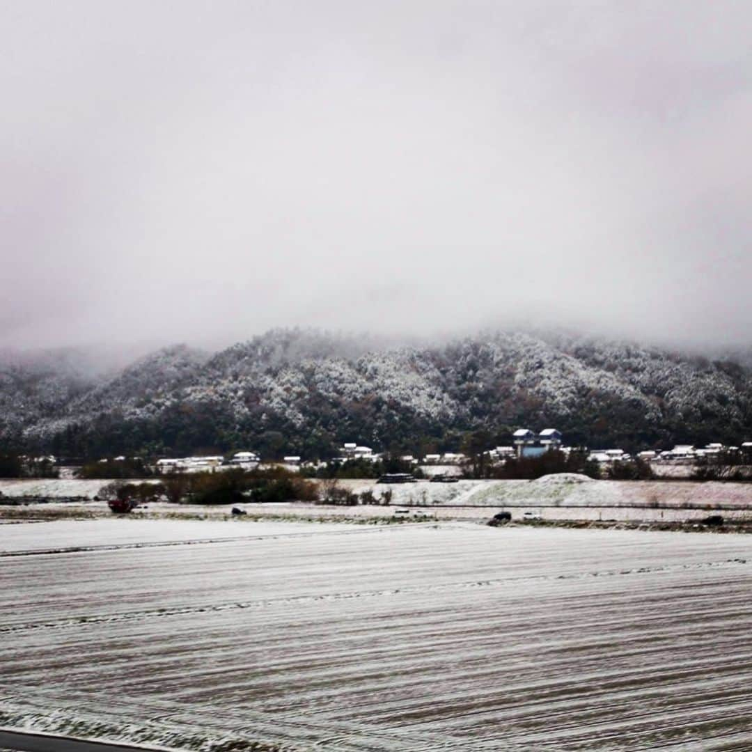 宮田麺児さんのインスタグラム写真 - (宮田麺児Instagram)「大掃除。 与謝娘酒造さんで使っていた タンクの蓋で作った　素敵なテーブル新築祝いでいただきました。  年神様をむかえる　育てた稲で作った　〆縄を飾ってかえる。  #年神様#与謝娘酒造#テーブル#大掃除#しめ縄#日本酒#稲藁#綾部#綾部市#志賀郷#空き家#古民家#サードプレイス」12月20日 23時09分 - miyatamenji