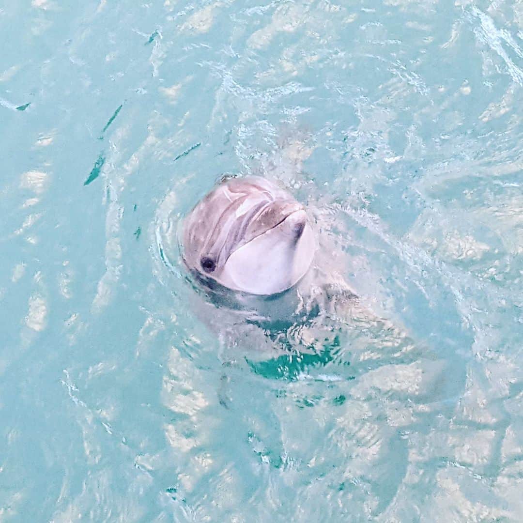 池澤あやかのグルメインスタ